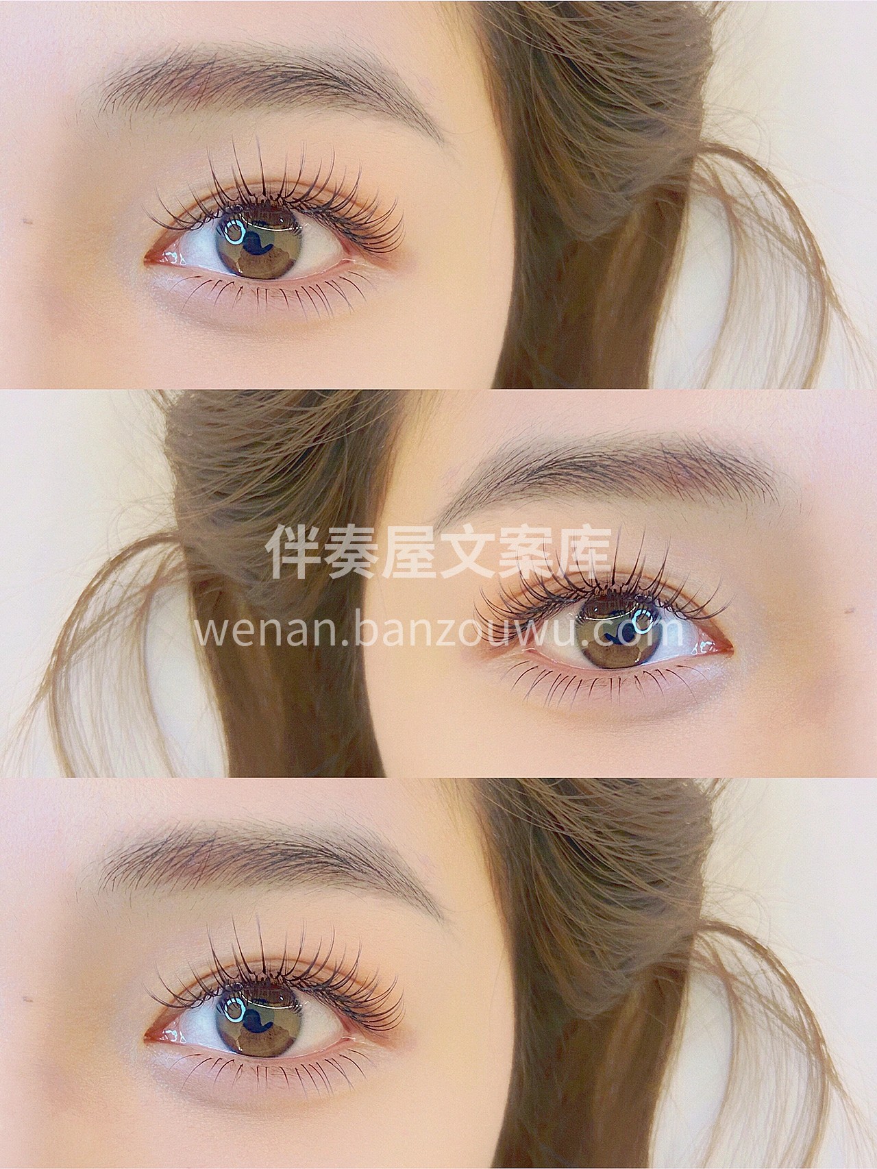 在名为时光的路上 遇见那片奇迹森林