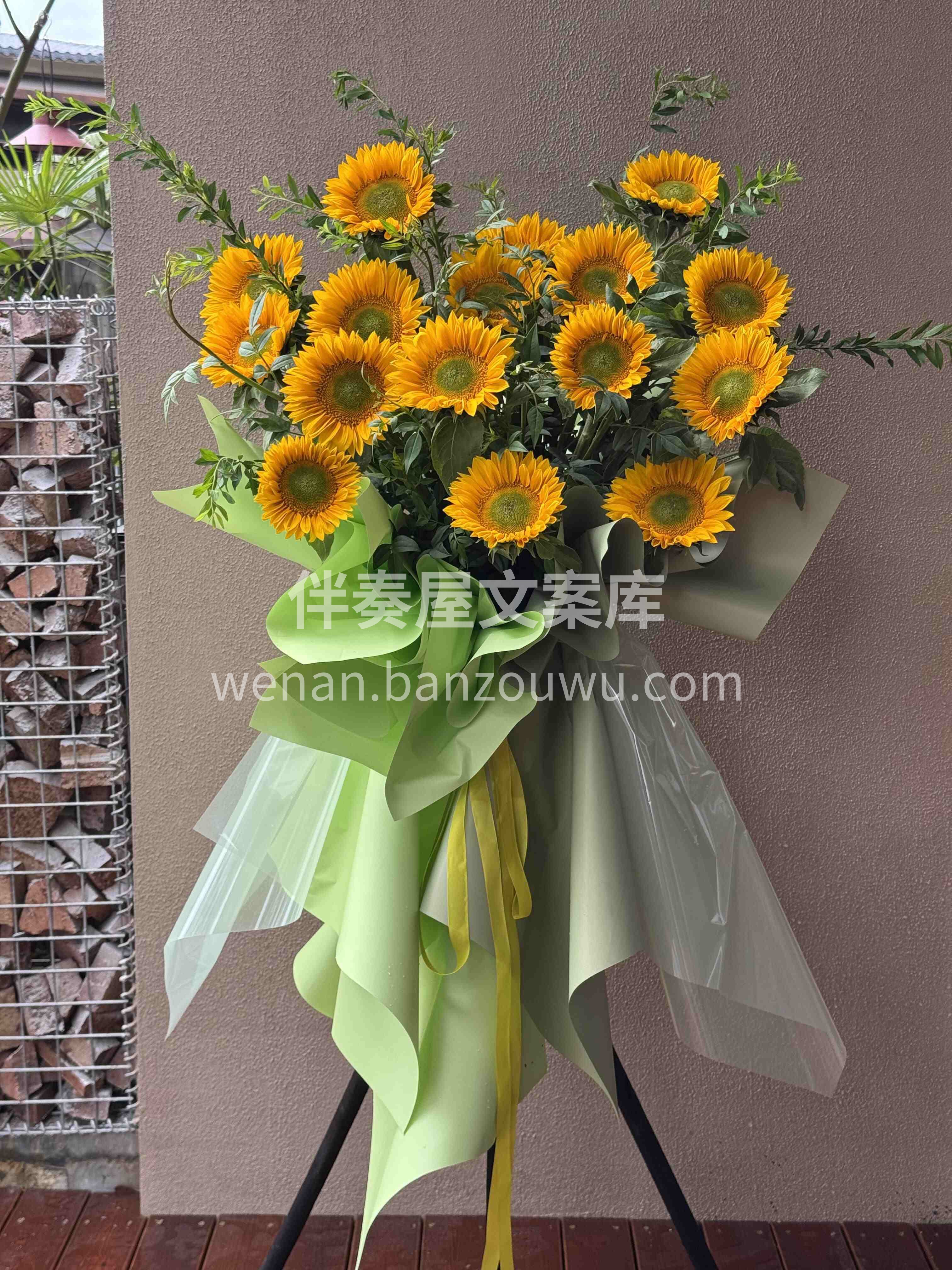 开业吉庆🌼向日葵盛满阳光与朝气☀️ 愿你的事业像它追光般节节 配图3