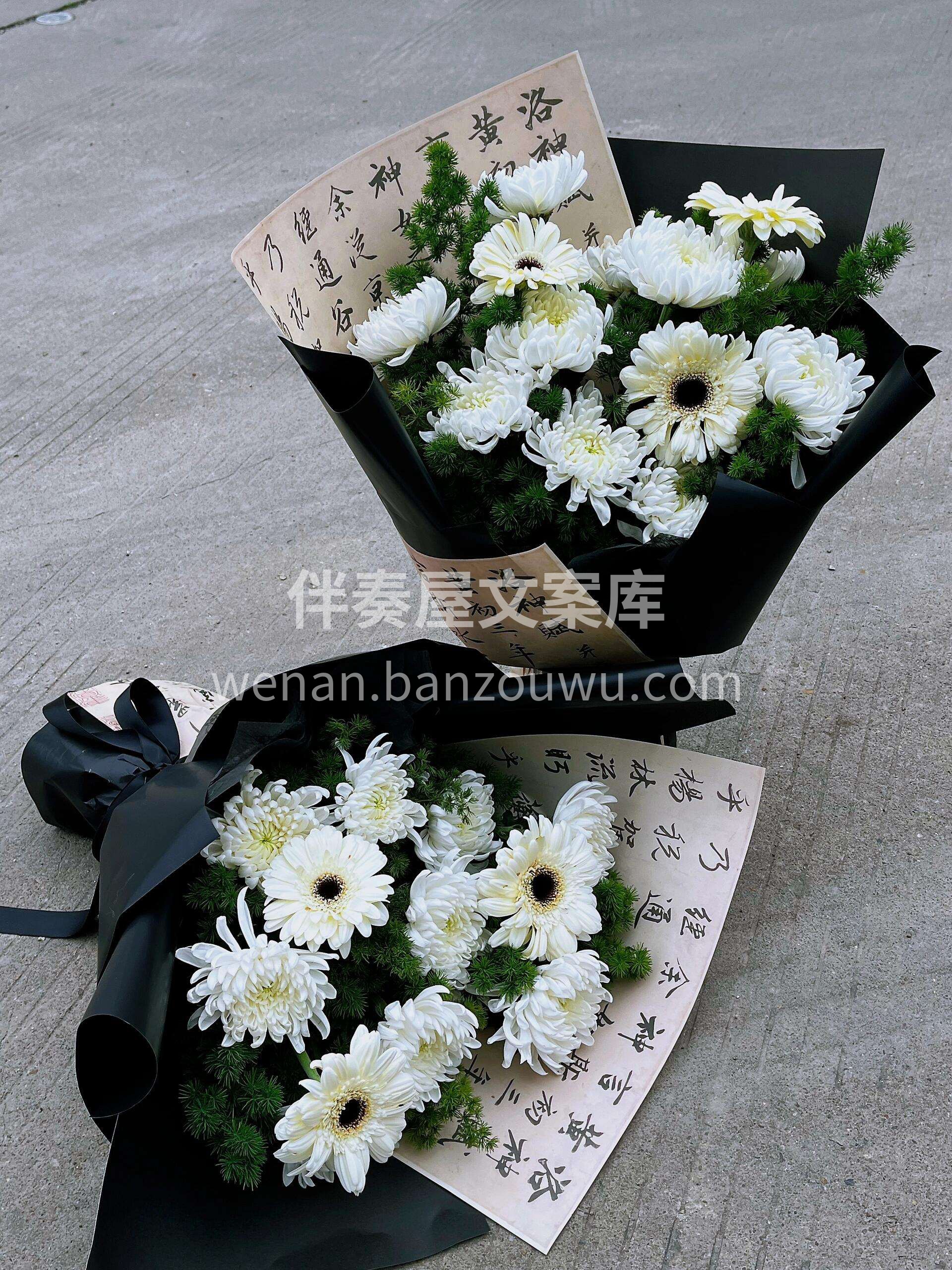 清明节菊花款🌼 天地清明 🌿春暖山河 愿来世 故人也能安祥这 配图3