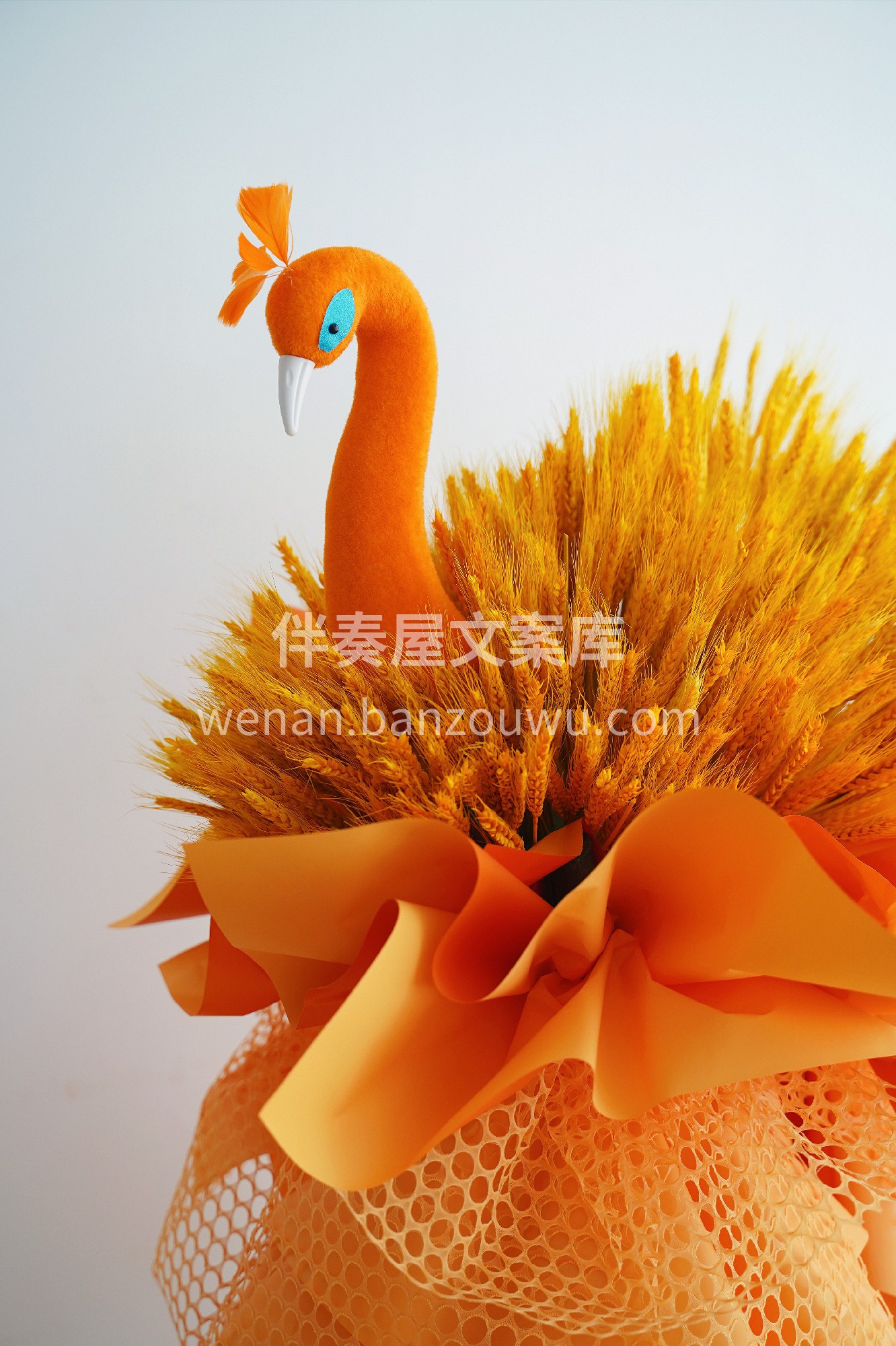 孔雀大麦开业花篮~ 孔雀即凤凰，凤凰涅槃 配图3
