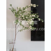 小手球 小手球有着形神兼备 可爱至极之态 配图2