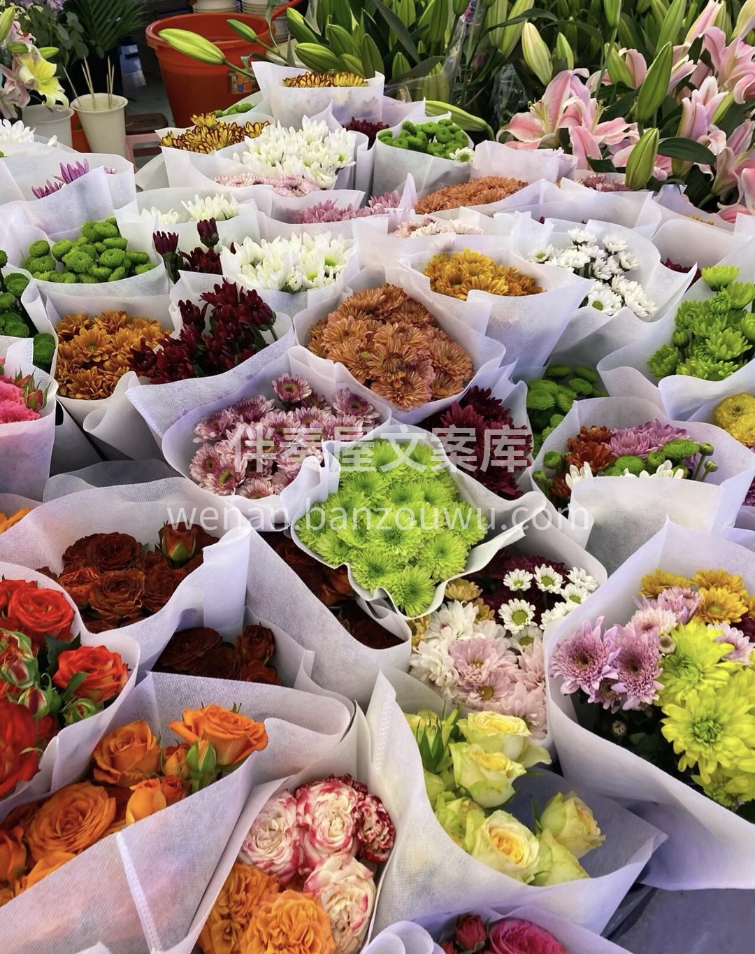 人收到花的时候，就知道有人爱她 可以在浪 配图1