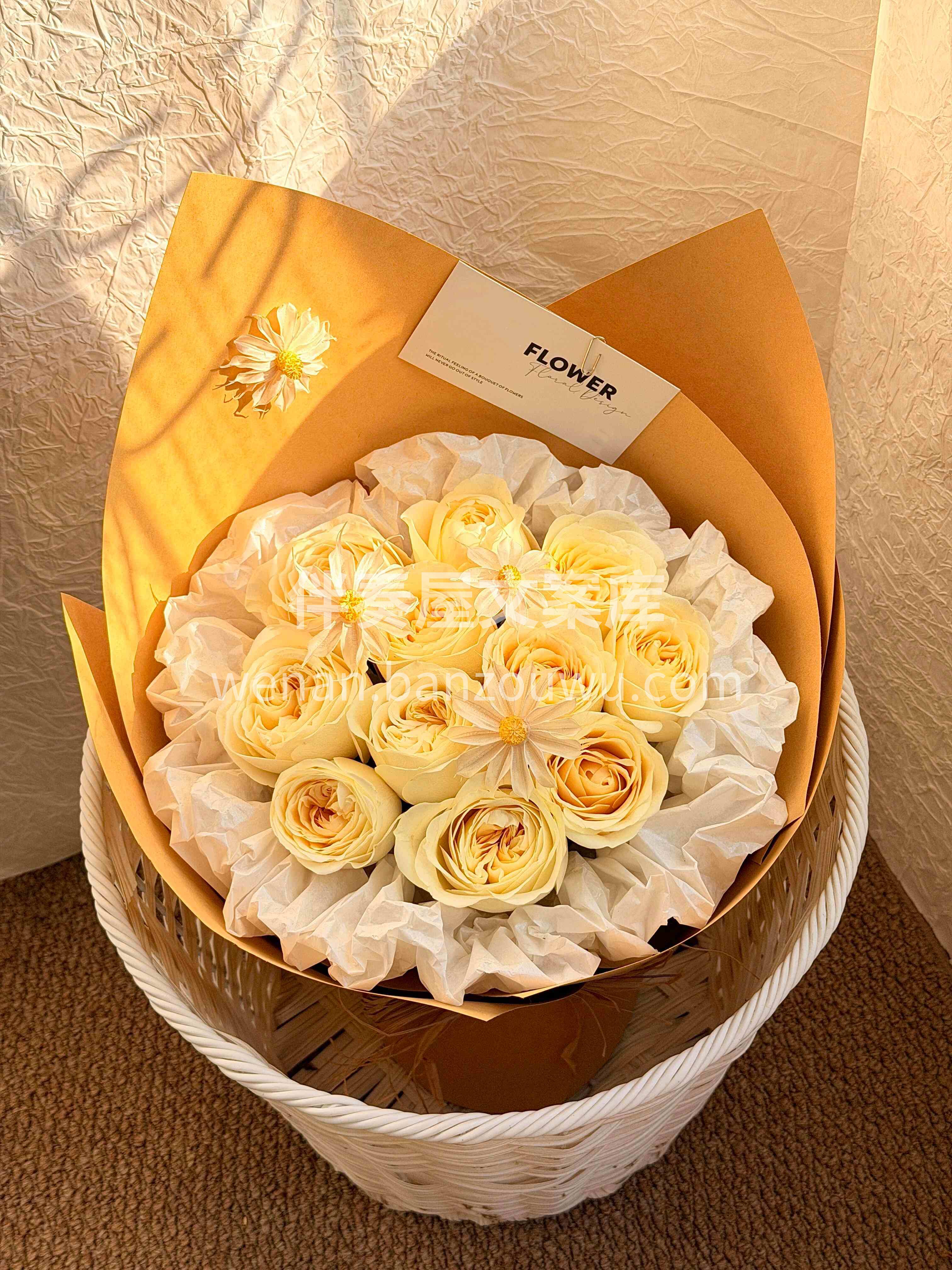 如果温柔有形状🌼 大概就是这一捧圆圆的样子💛 配图1