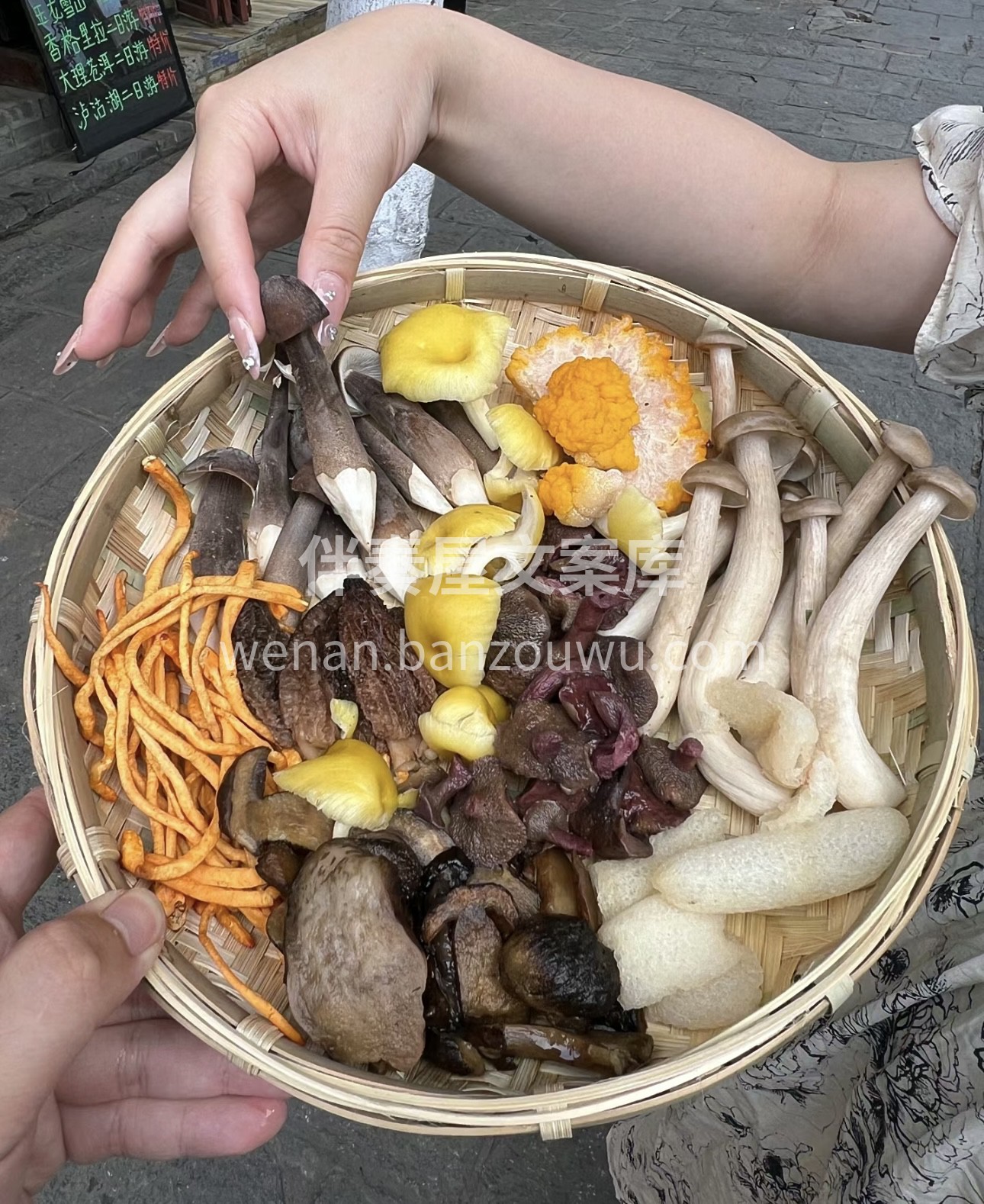 菌子火锅，是一场舌尖上的奇幻之旅。各种鲜 配图1