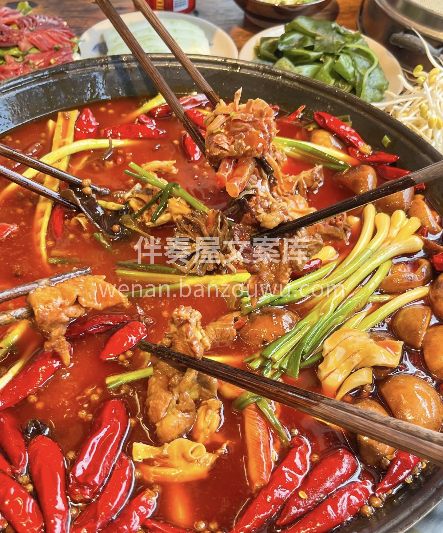 以欢喜心，慢度日常，生活不是等待暴风雨过 配图3