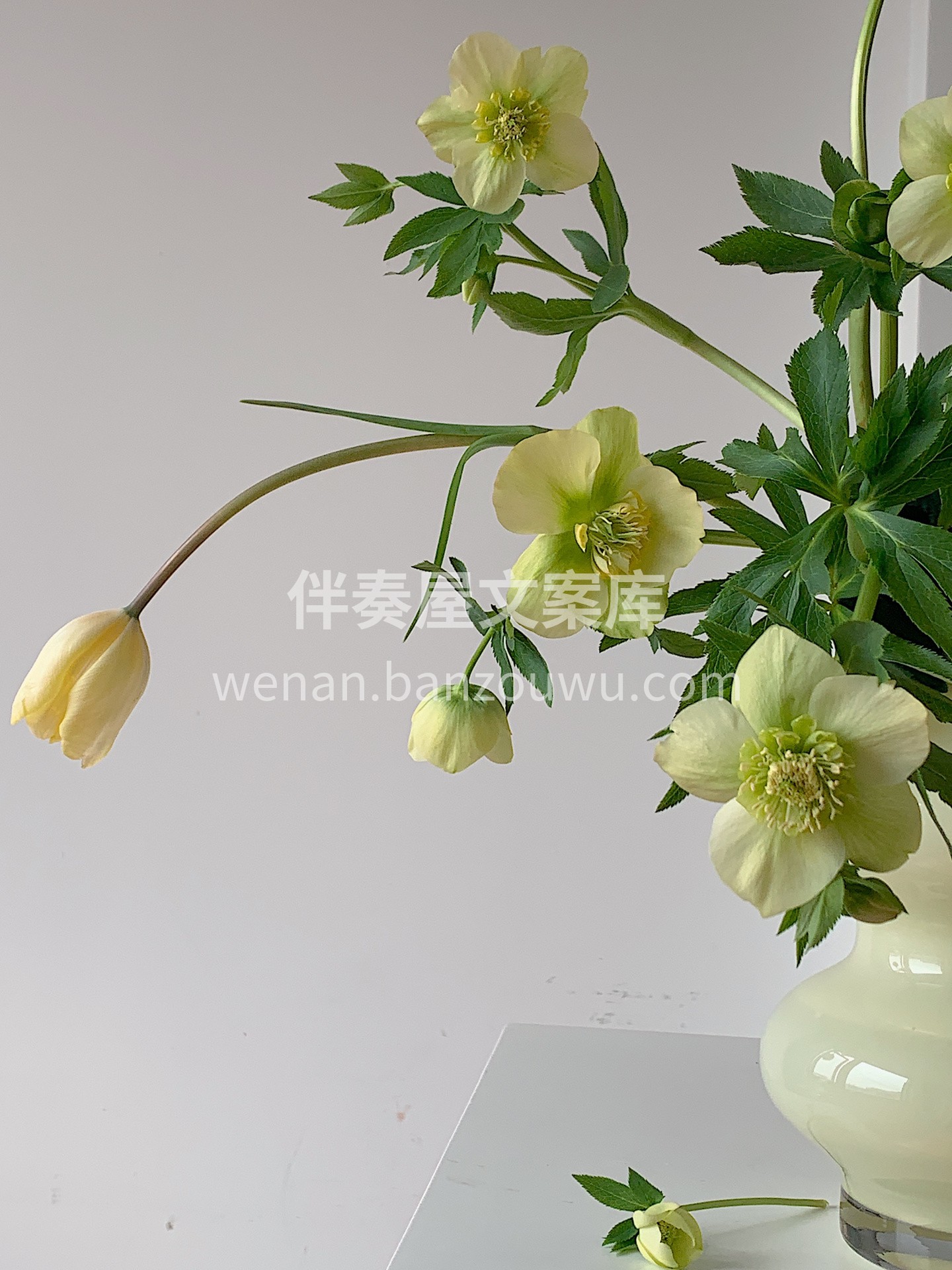 瓶插花太美了😍 插一个充满生机🌱的瓶插花 把花材和容器都优势 配图4