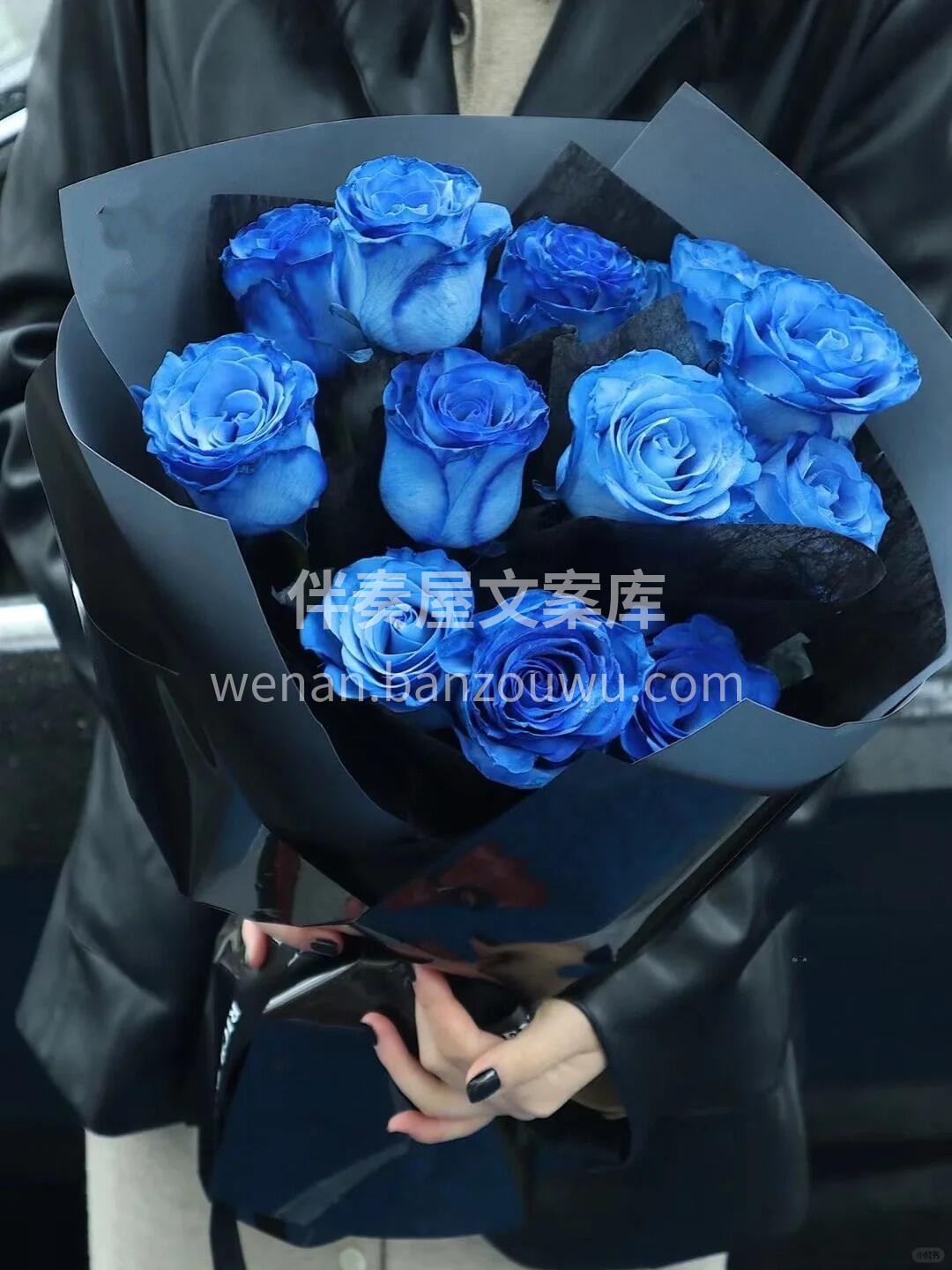 送给心爱的人💓一束蓝玫瑰💙 代表着一份温柔而深情的爱意 它表 配图3