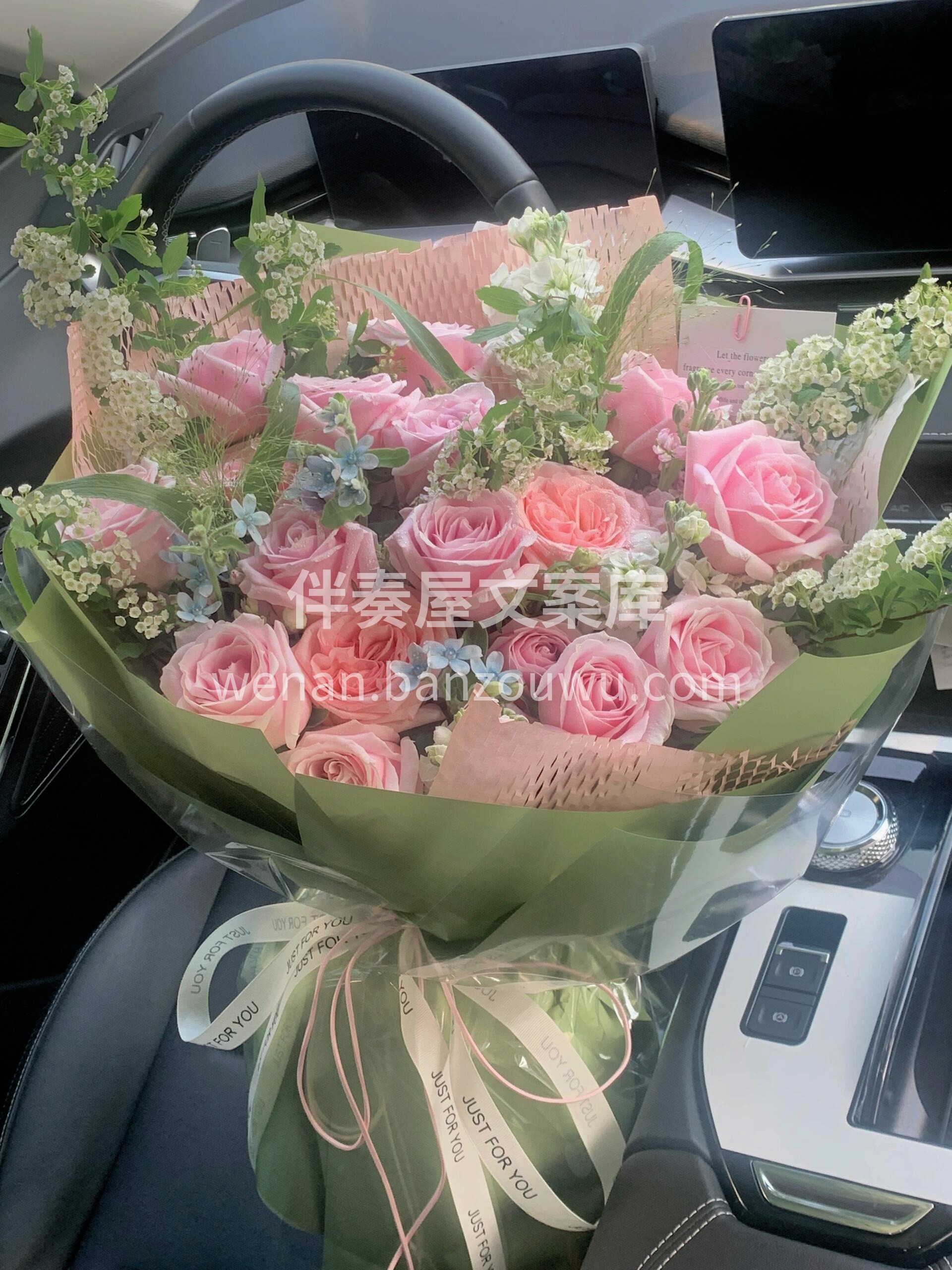 给你的爱极具温柔🌸 粉色是少女的梦 👧柔 配图1