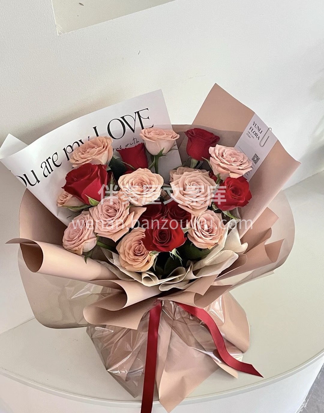每日一束花💐【康乃馨】|||🌷世界上最美 配图2