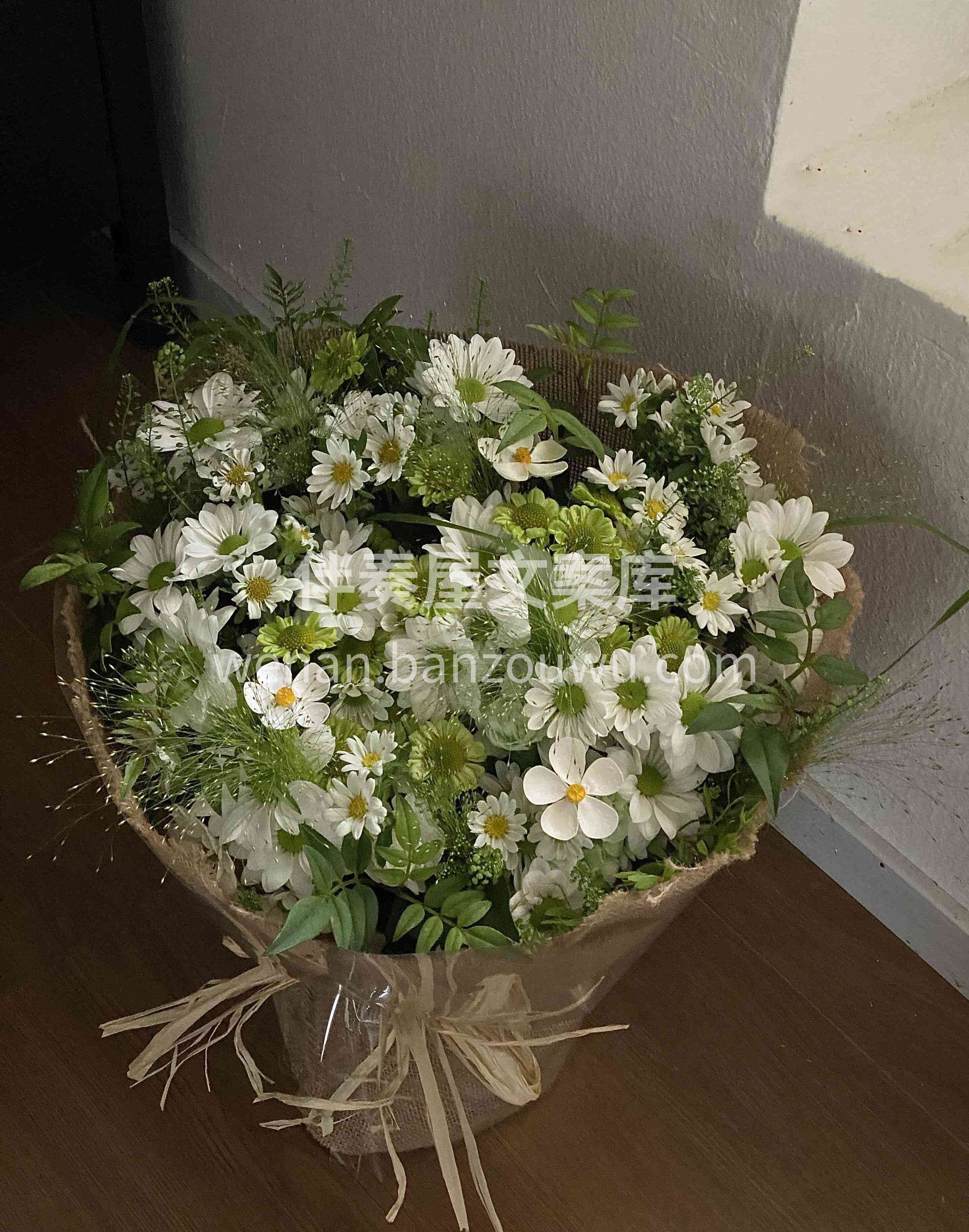不一定非要长成玫瑰🌷 乐意的话💕做茉莉🌿做雏菊🌼 做无名小花 配图2