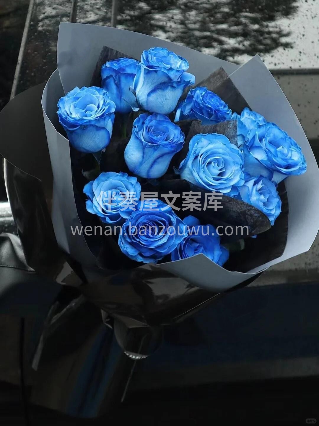 送给心爱的人💓一束蓝玫瑰💙 代表着一份温柔而深情的爱意 它表 配图1