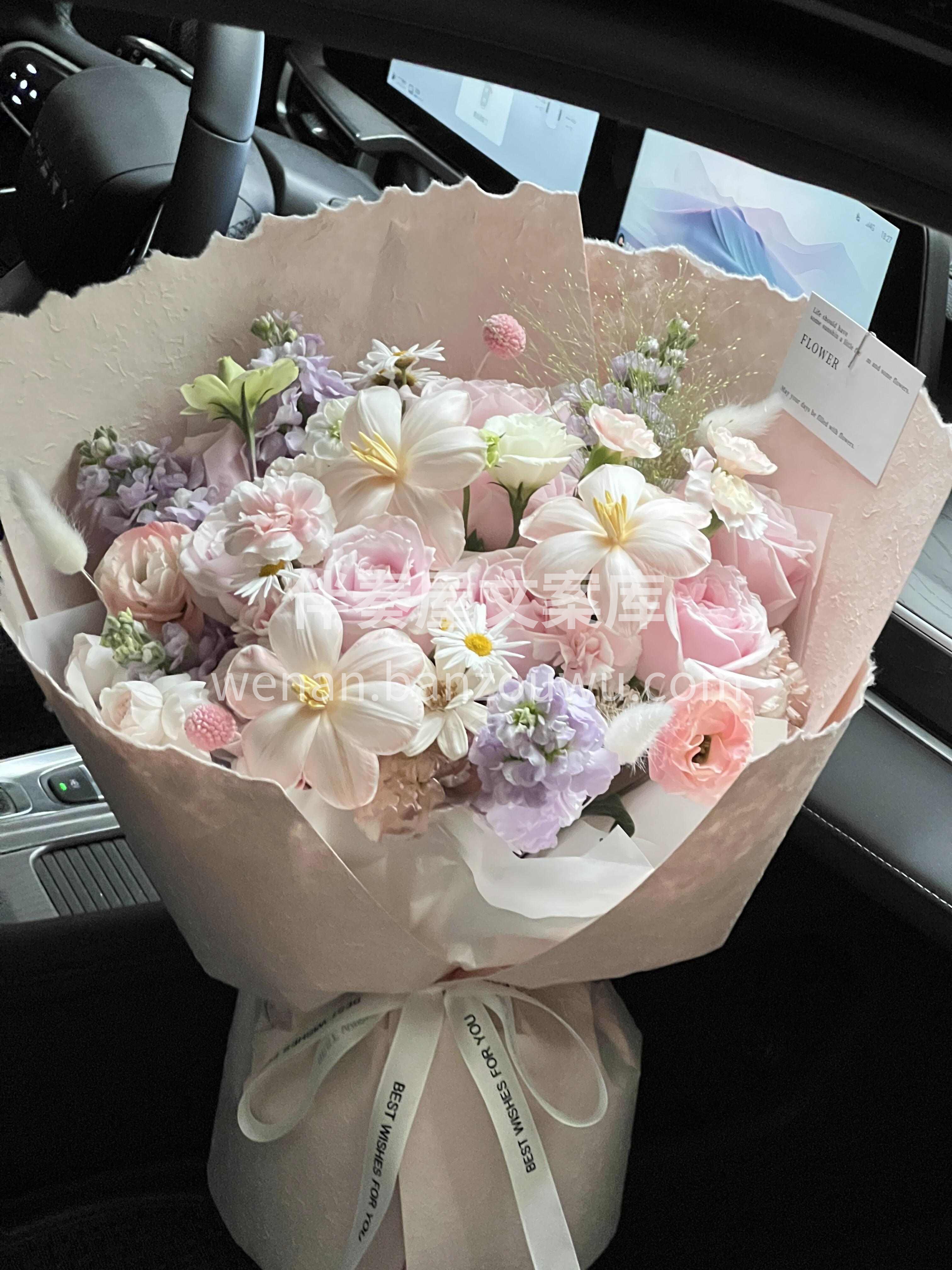 粉雪山花朵🌸清新脱俗 💃虽无鲜艳🌿热情 确十分优雅 是纯洁的 配图2