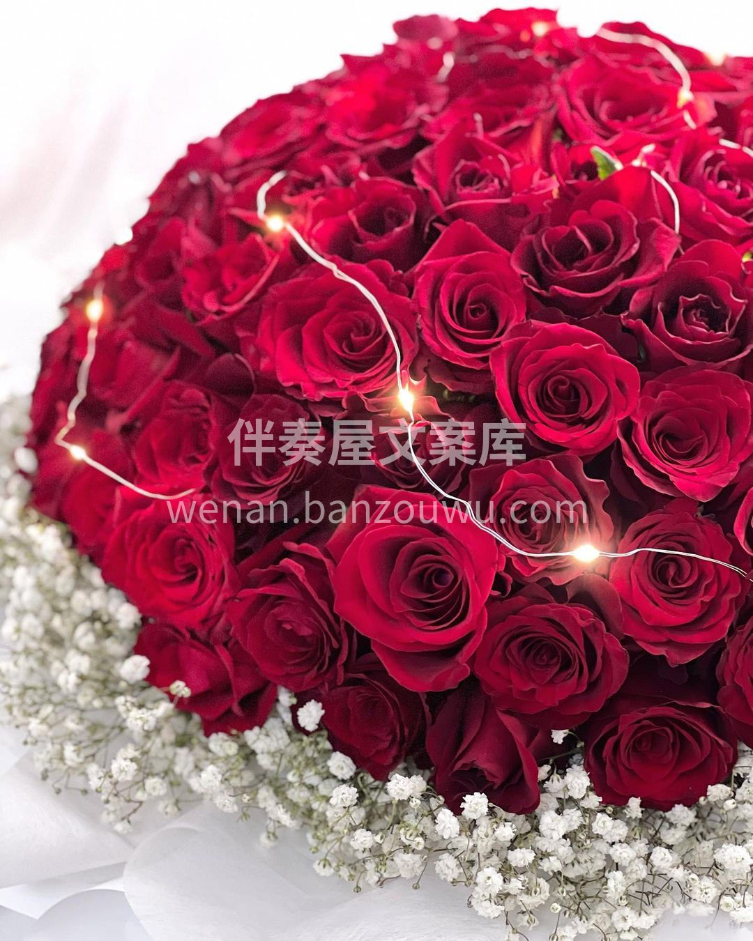 小香风红玫瑰~ 我买得起花，也有的是花  配图1