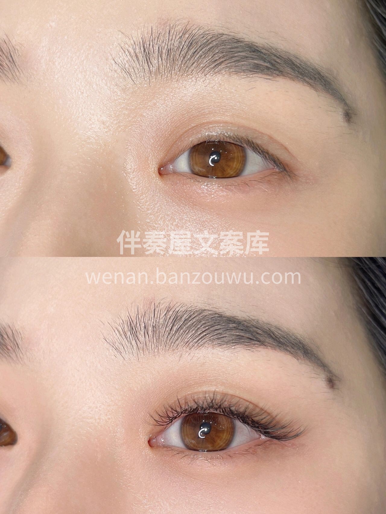 清澈的眼睛无需浓妆 小清新的睫毛才是绝配 配图3