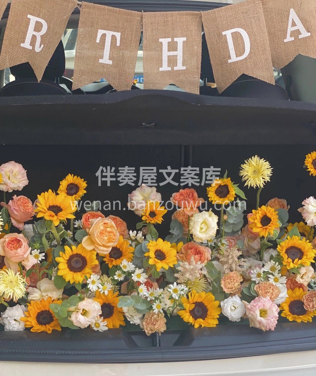 向日葵后备箱求婚布置 特别喜欢这款向日葵 配图1