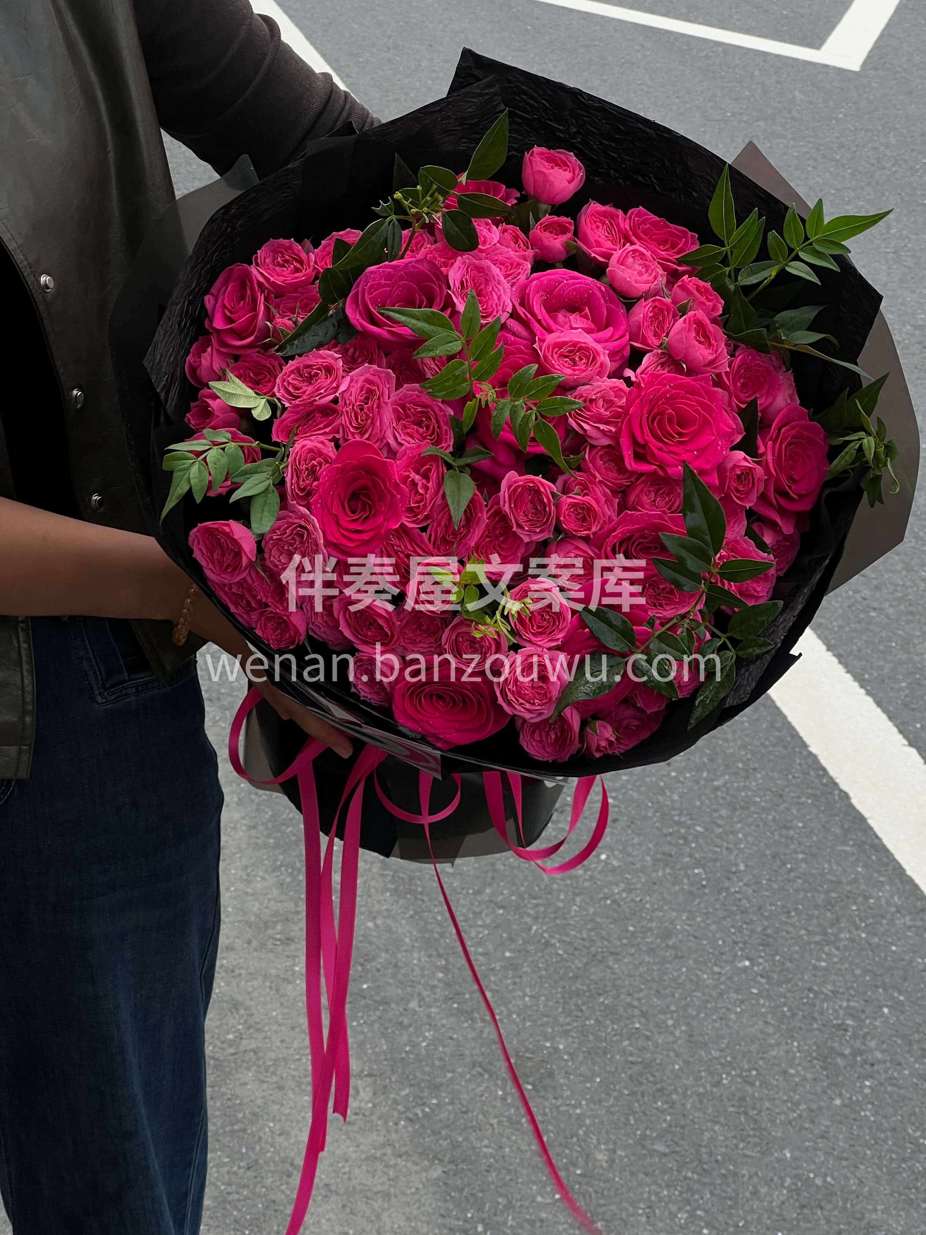 一眼沦陷 🎀玫红色是永远的神❤️ 弗洛伊德和苏菲宝贝就是绝配 配图3