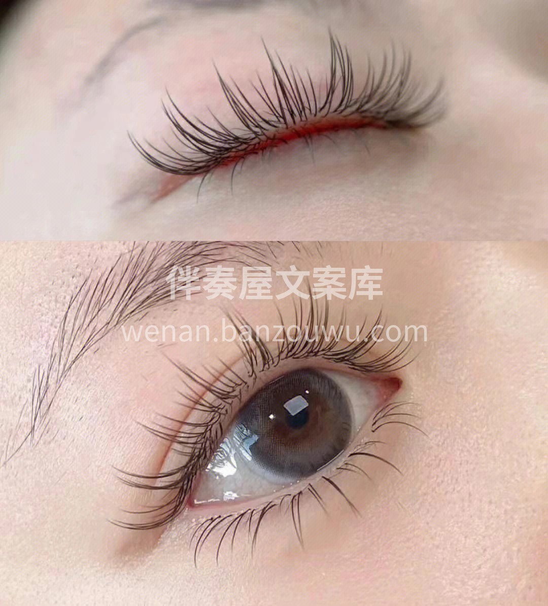 这款睫毛真的超级哇塞 适合睫毛稀少 还想