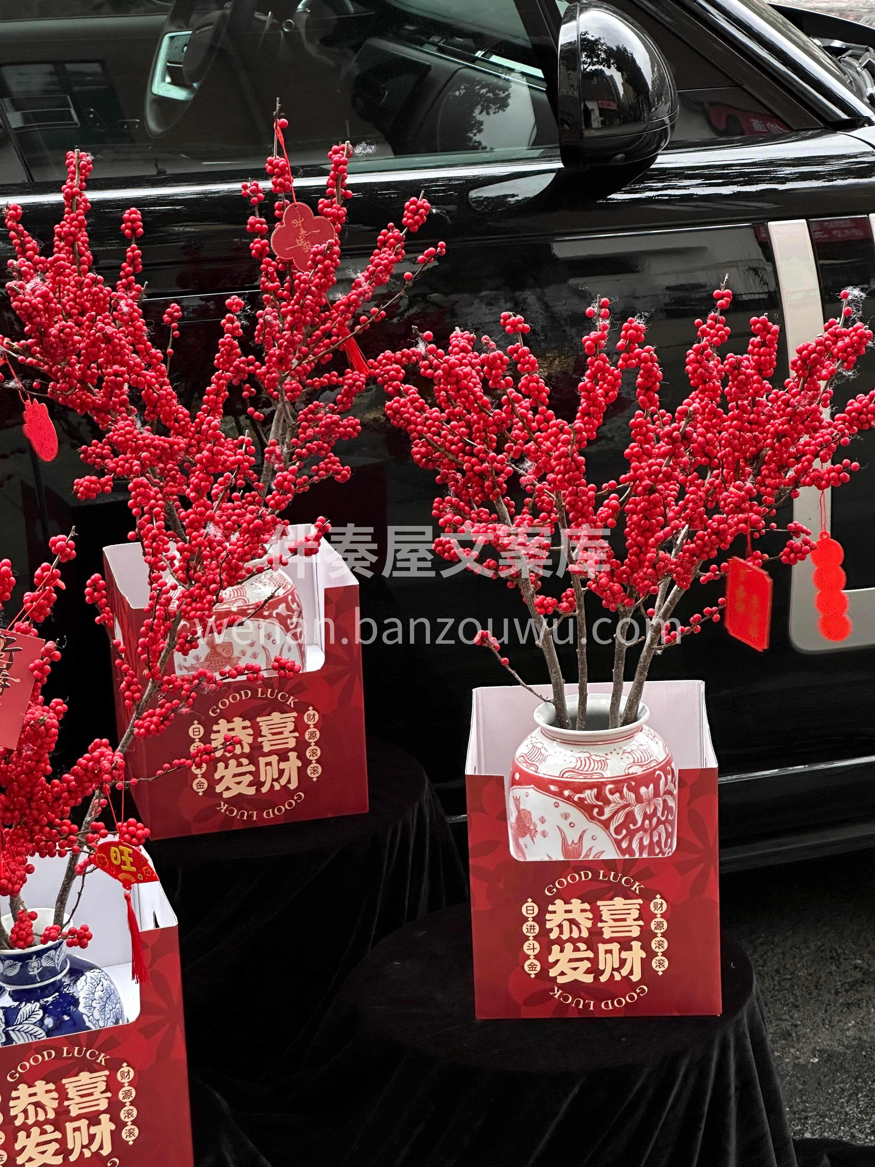 春节瓶花选冬青🔥 ❤️红红火火过大年[烟花] 家宅安康[福] 配图3