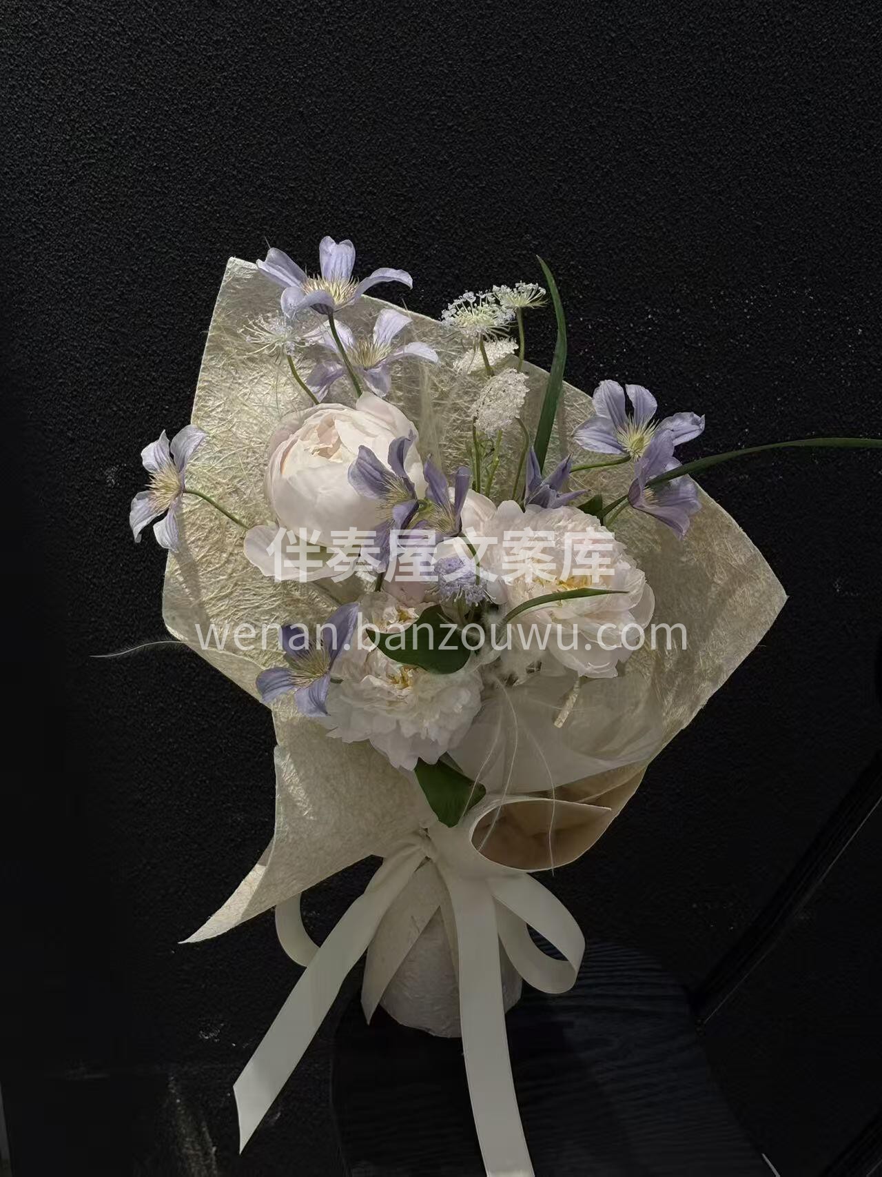 春天的尾巴🍀 在芍药盛开的一刻 是微风🌼 配图1