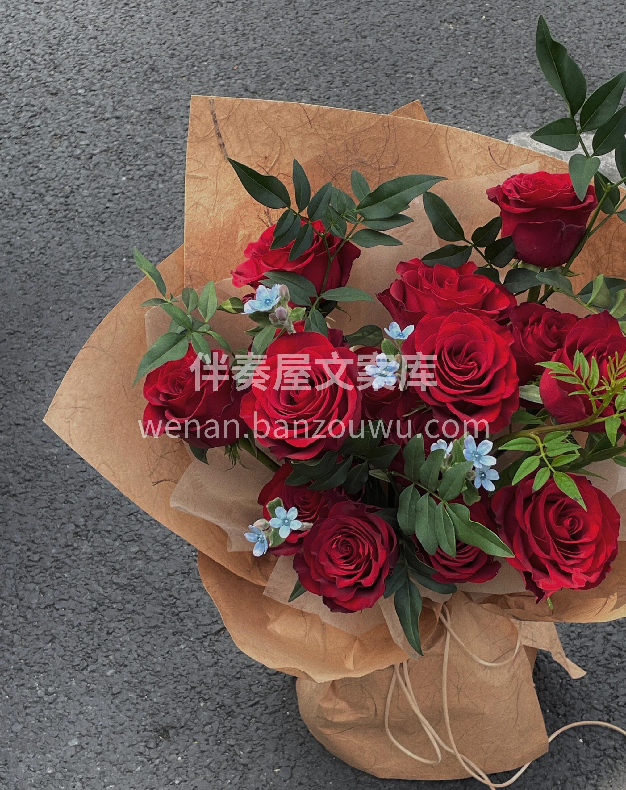 森系红玫瑰花束🌹 表达爱意的首选❤️ 铺面而来的高级感✨ 红 配图1
