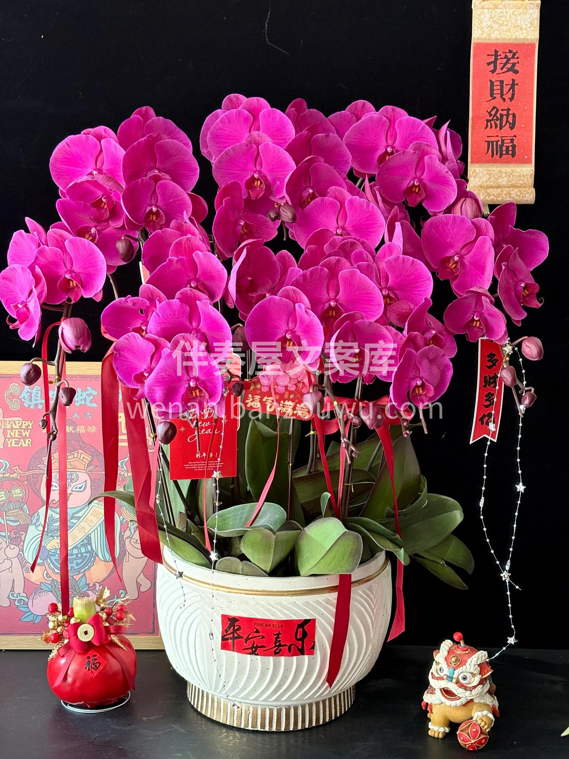 玄关摆一盆🎀迎福纳祥❤️ 客厅放一株🫧添彩增辉 新年的氛围感 配图2