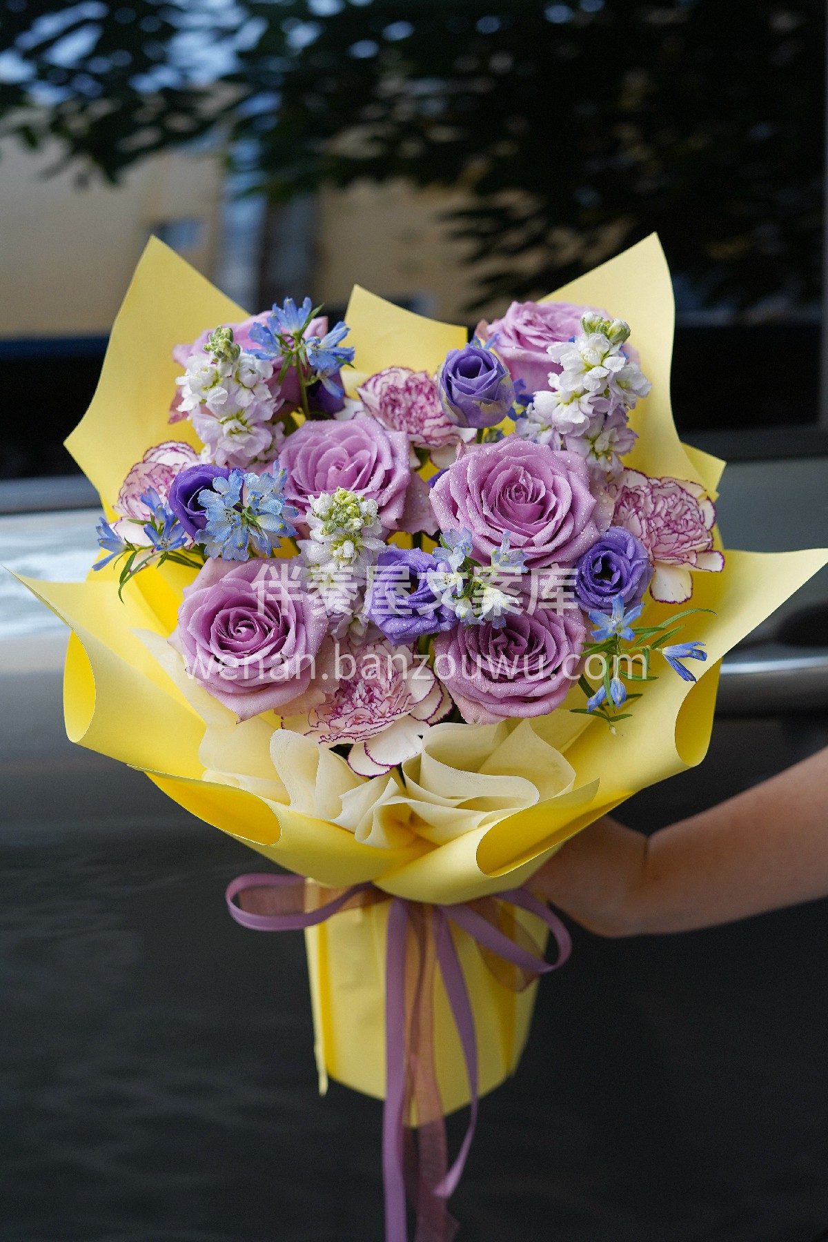 救命 ✨是谁还没见过这束漂亮的花🌸 黄与紫大胆碰撞 💛💜 明 配图3