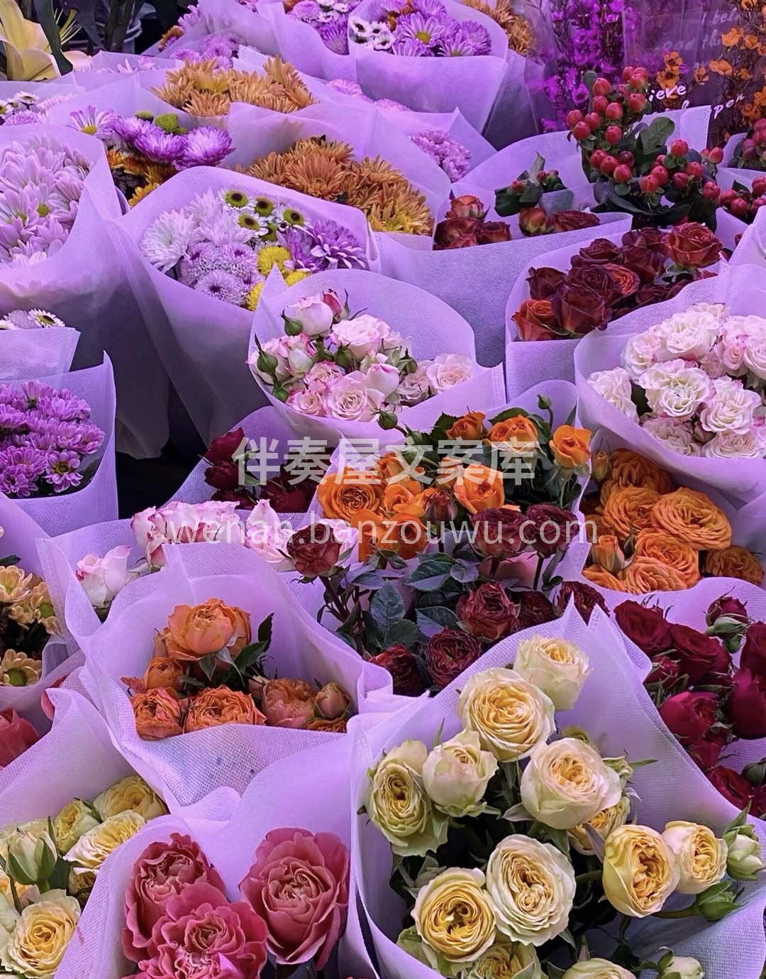 "我把花藏于身后 时刻期盼着和你赴约"一 配图1