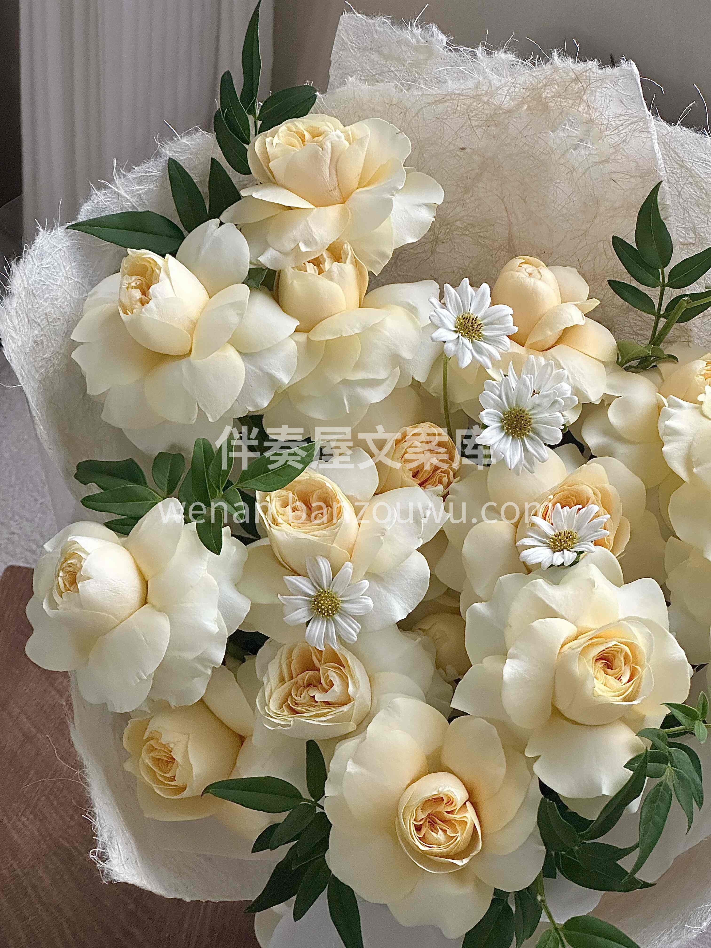 甜甜的奶油杯玫瑰✨温柔得恰到好处☁️ 它也叫暖玉🌼寓意温润如 配图2