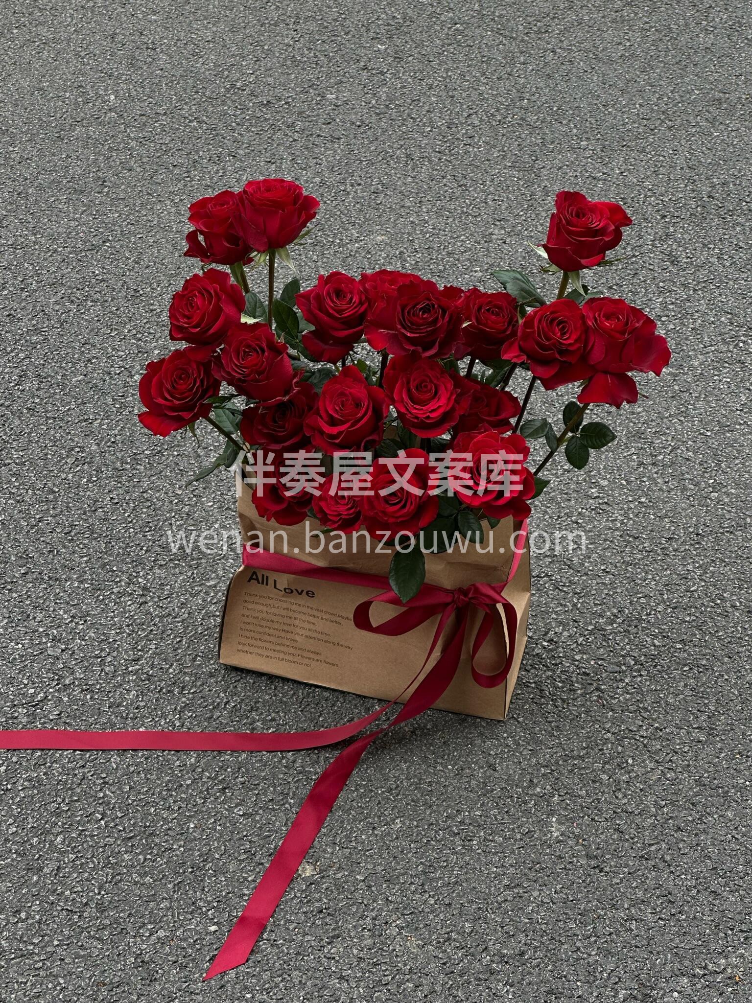 怎么样得到你👧 抱抱袋还是抱抱你 自然复古风红玫瑰🌹抱抱袋  配图1
