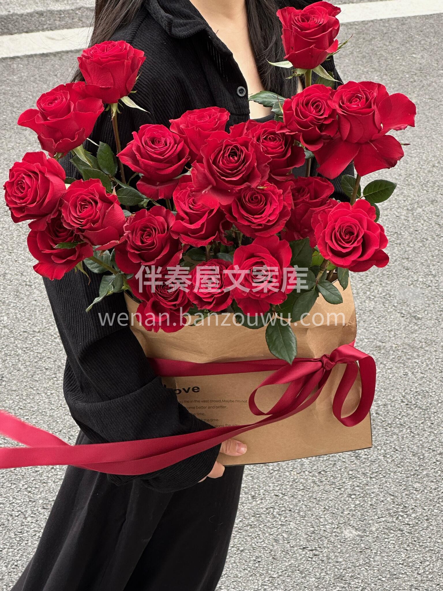 怎么样得到你👧 抱抱袋还是抱抱你 自然复古风红玫瑰🌹抱抱袋  配图3