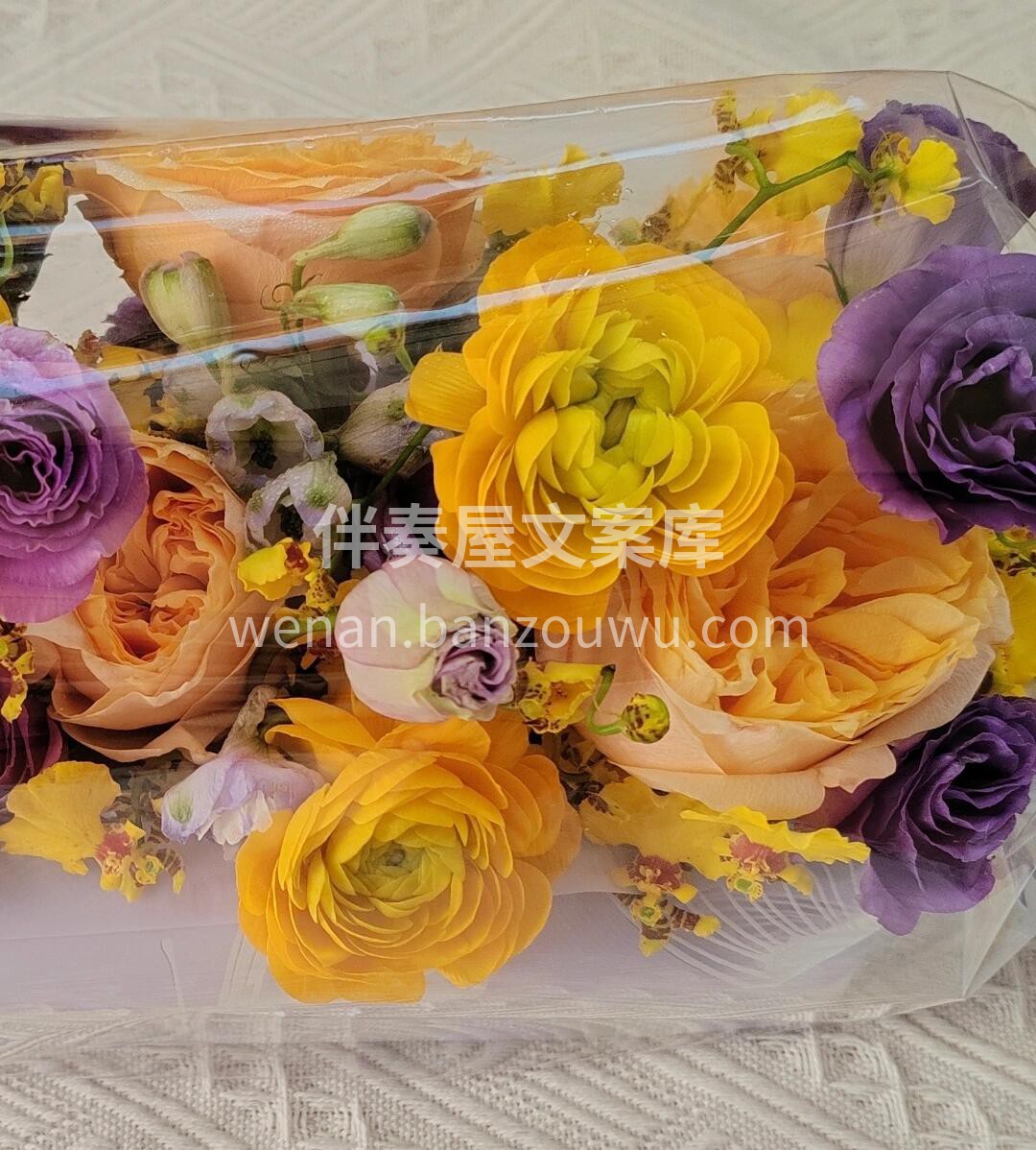 谁还不是个孩子呢 👶大宝宝也是宝宝呀 ✨ 配图1