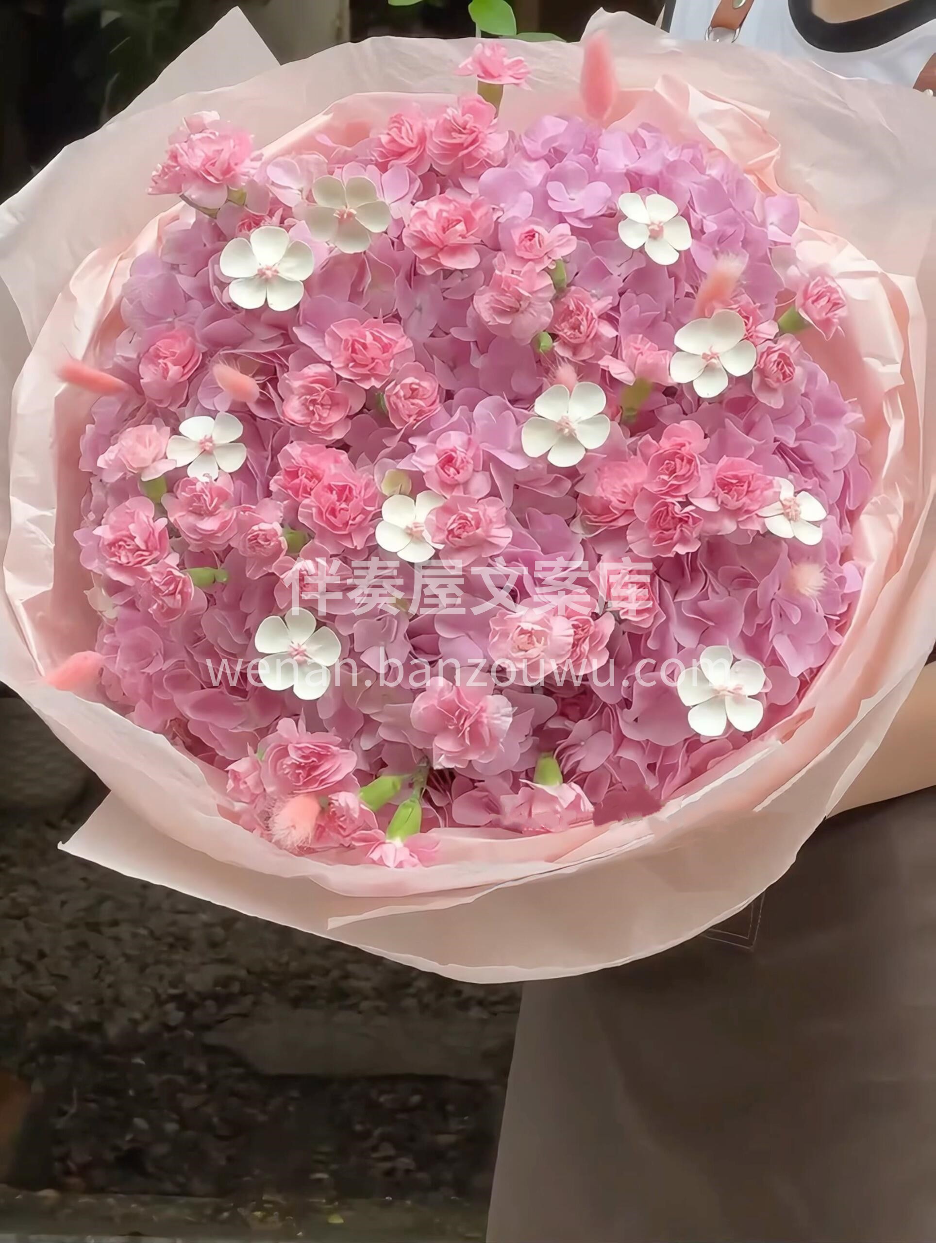 饱满的绣球裹着细碎的康乃馨 每一朵花🌸都 配图1