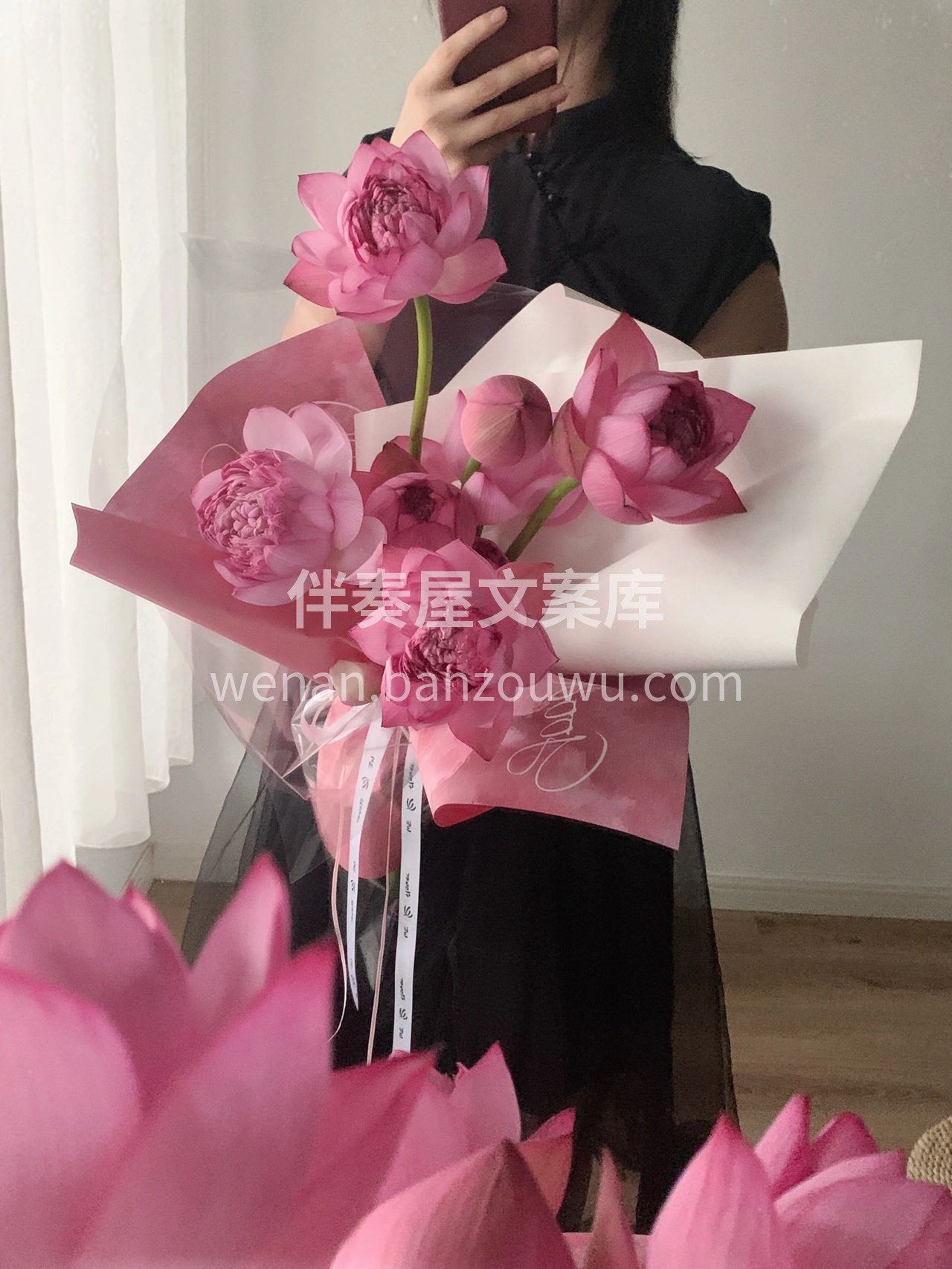 夏天🍉的浪漫从荷花开始吧🌸 专属夏日☀的 配图2