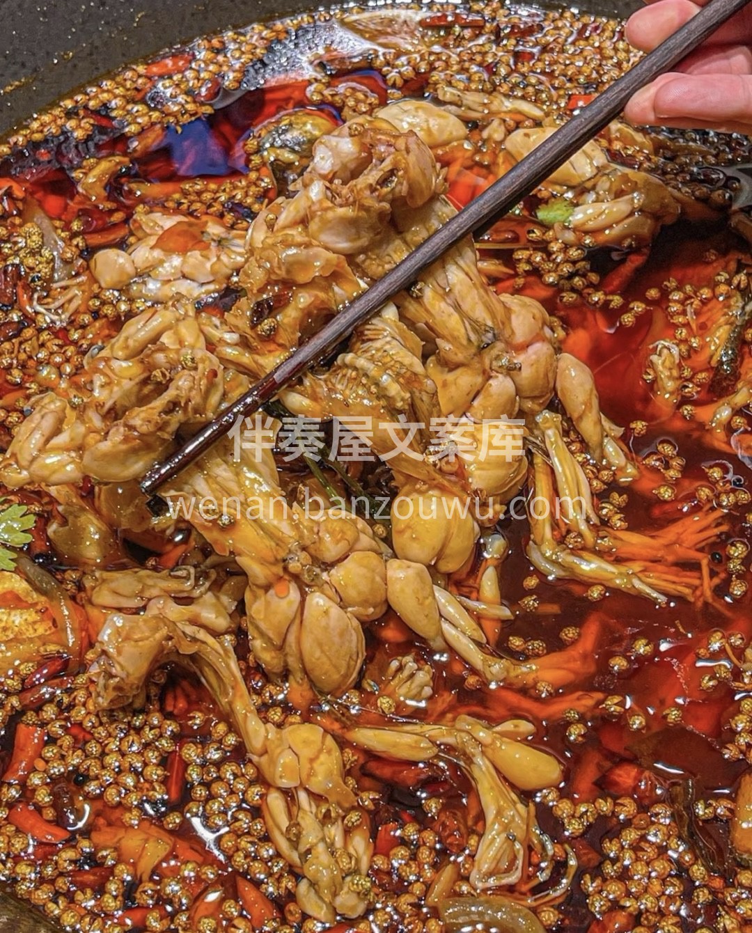 锅底端上是已经煮好的蛙蛙！可直接吃！蛙的 配图3
