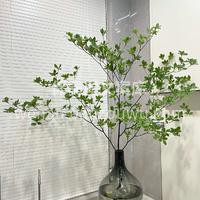 拥有一颗吊钟🌿就相当于拥有一片森林 真的 配图2