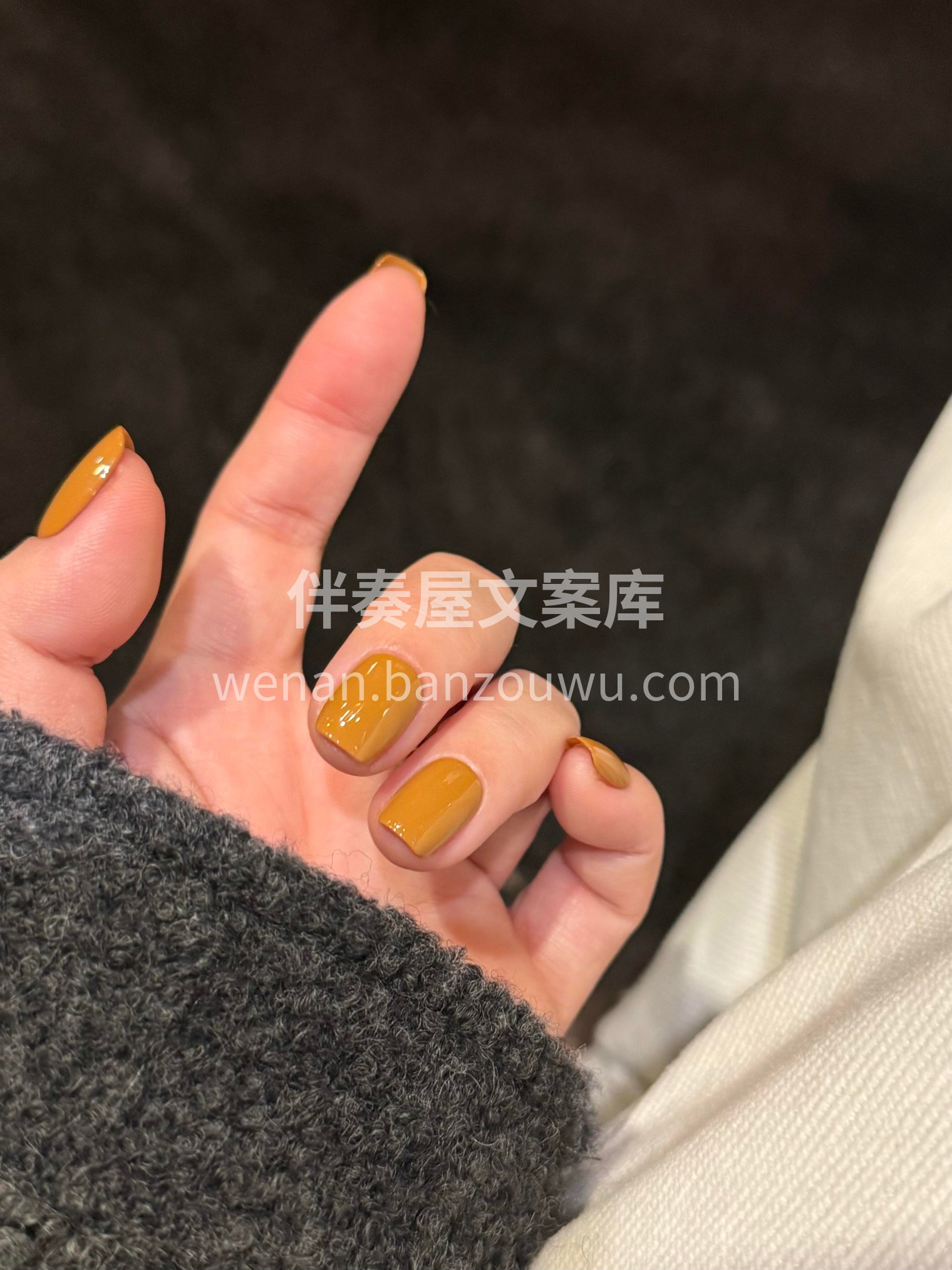 秋风扫落黄金叶，半是银杏半是秋 配图2