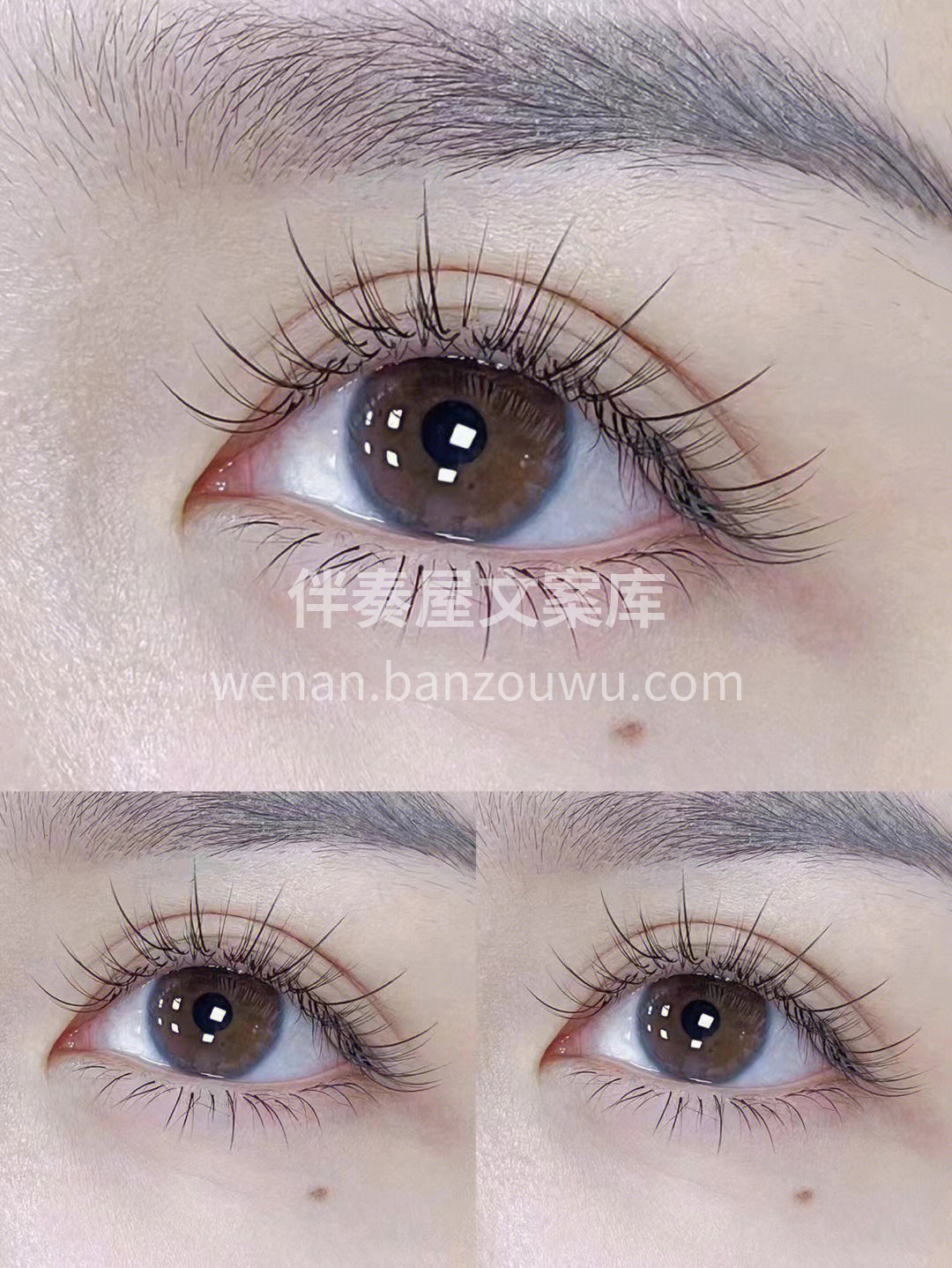 每个女孩都要像 花一样盛开明媚