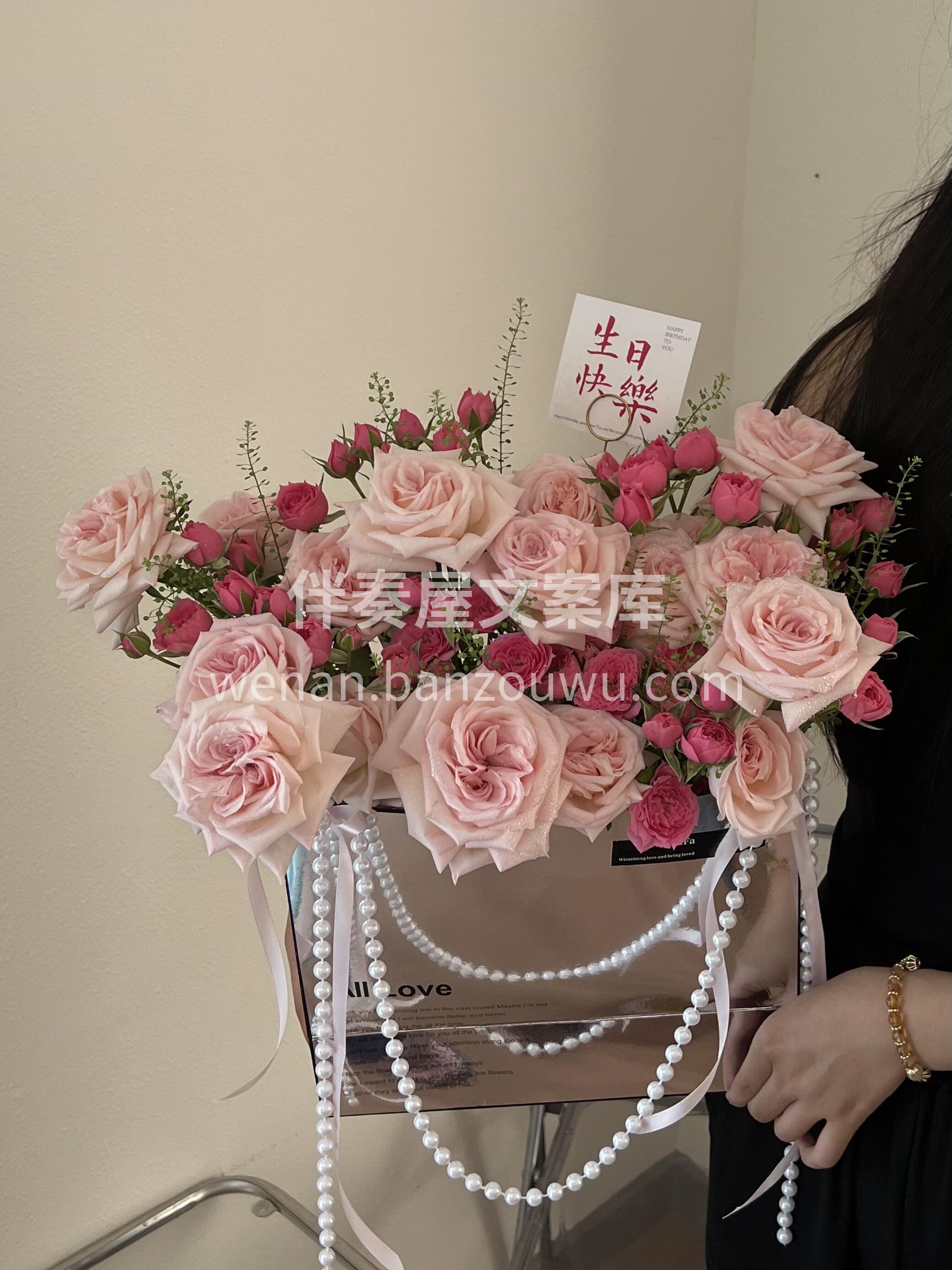 🎀粉荔枝苏菲宝贝抱抱袋 如果我外出与你相 配图1