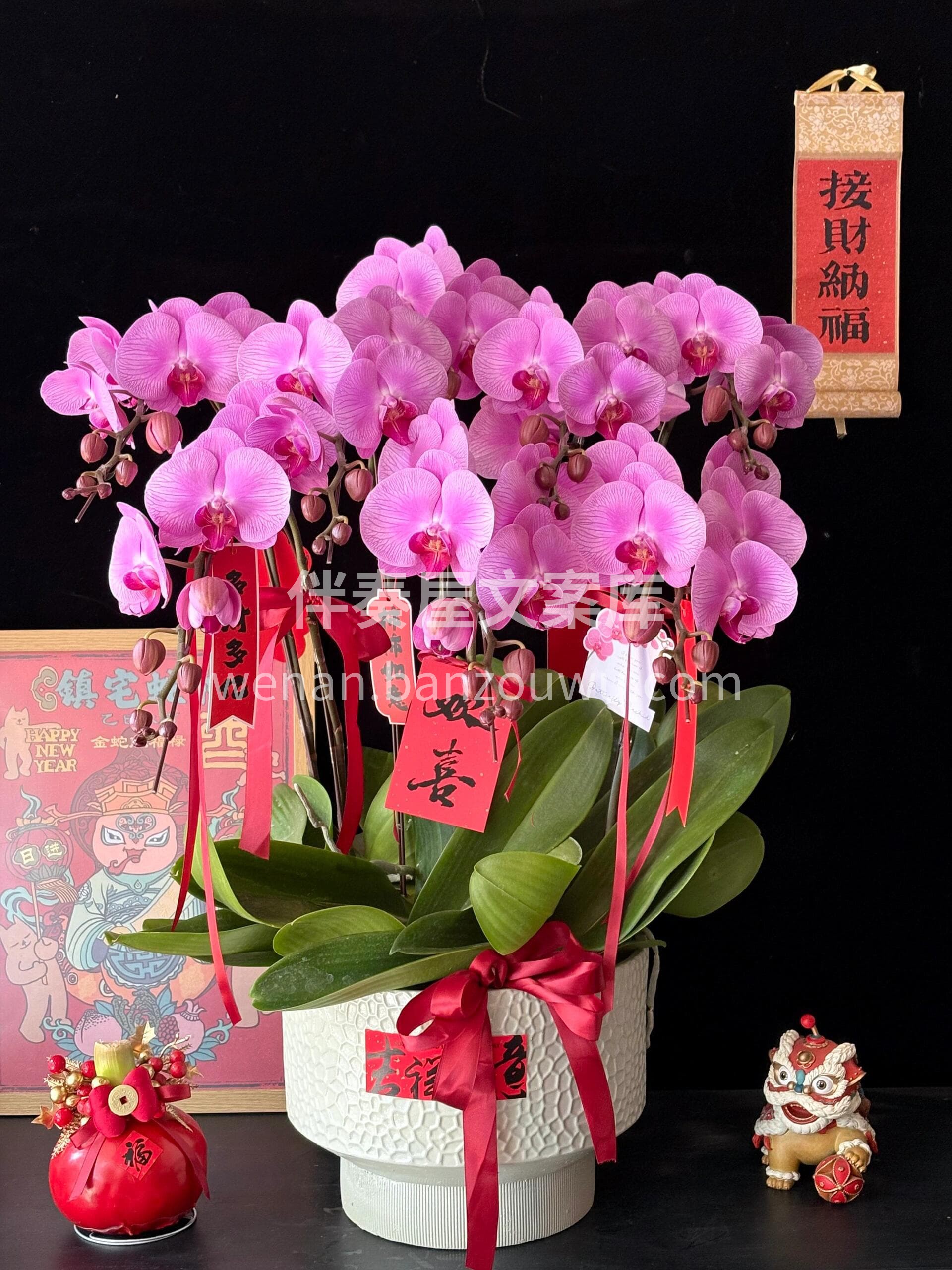 玄关摆一盆🎀迎福纳祥❤️ 客厅放一株🫧添彩增辉 新年的氛围感 配图1