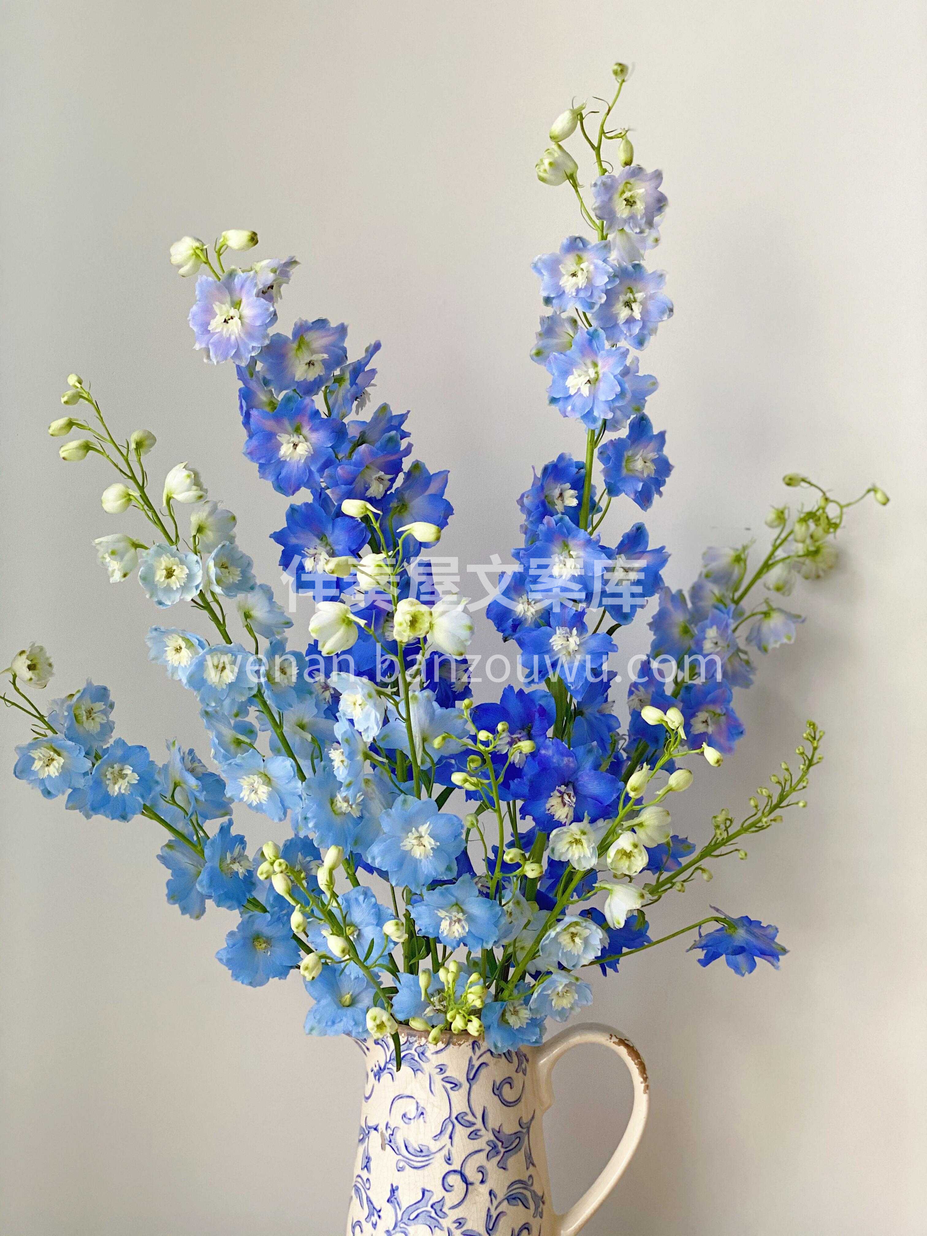 居家瓶插花💐 🌞生活因为用心才变得更好  配图2