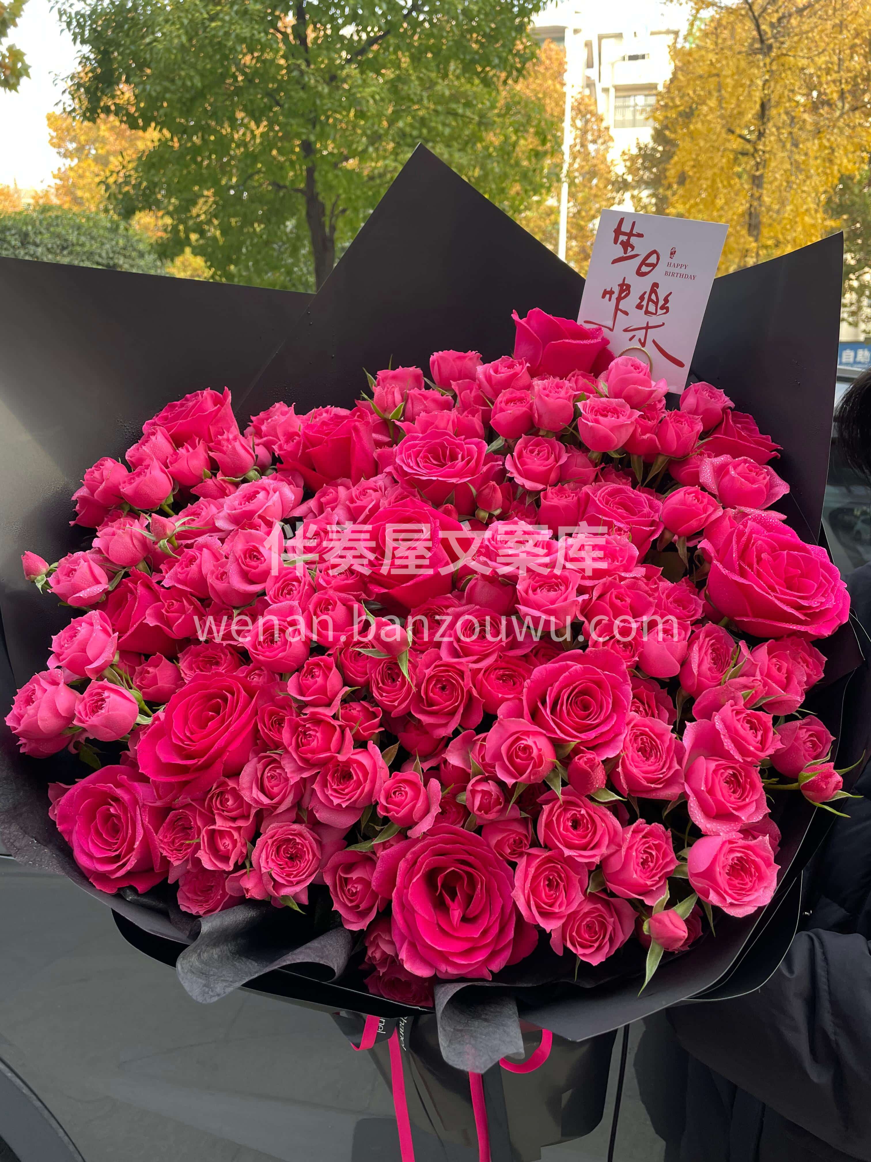 高饱和的浪漫🌸也可以很温柔🌷 苏菲宝贝搭配弗洛伊德💕让热烈变 配图1