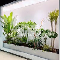 绿植组合布景设计 整体造型简洁美观，新颖 配图3