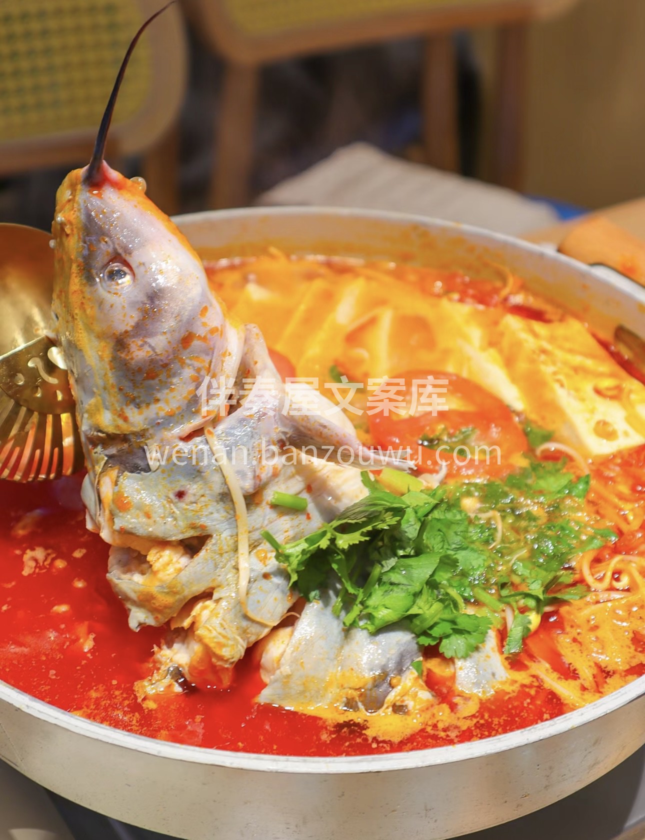 鲜嫩鱼肉，融入酸辣浓郁的汤中。酸汤鱼火锅 配图1