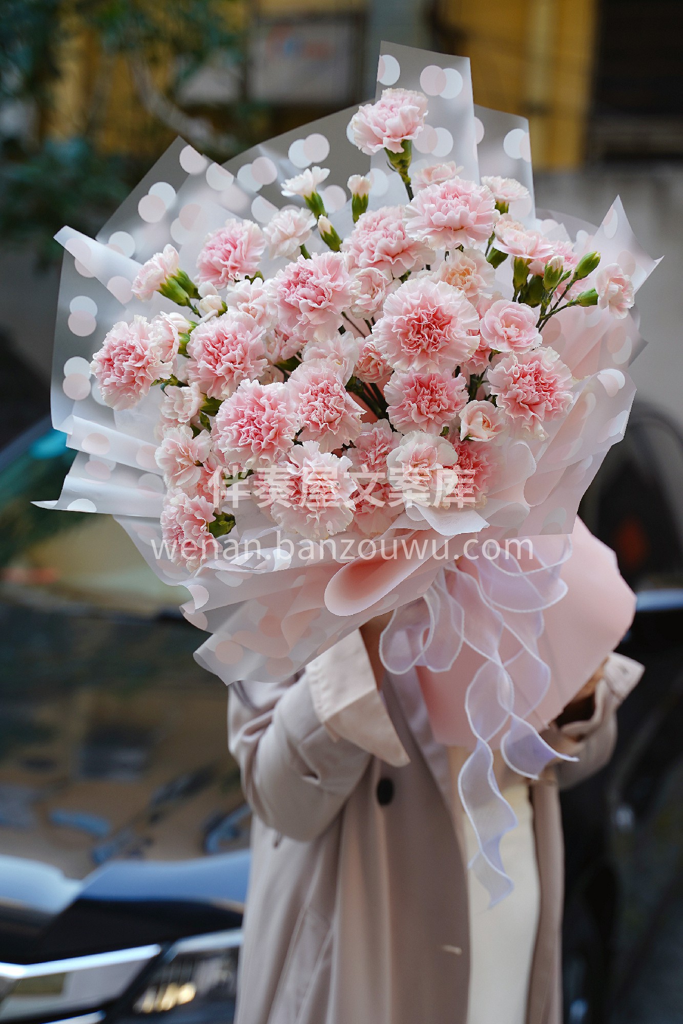 康乃馨花束预定 女王节快到了，送妈妈当然 配图2