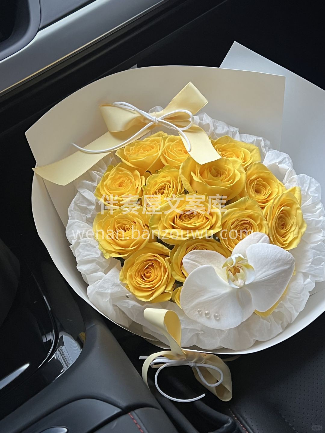 📸拍下幸福的瞬间 这样我也站在幸福里🎐 💛💛💛 温柔风黄色系 配图1