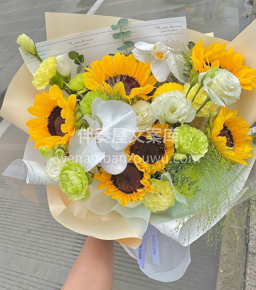 教师节森系花束款 🌻向日葵搭配蝴蝶兰超好 配图1