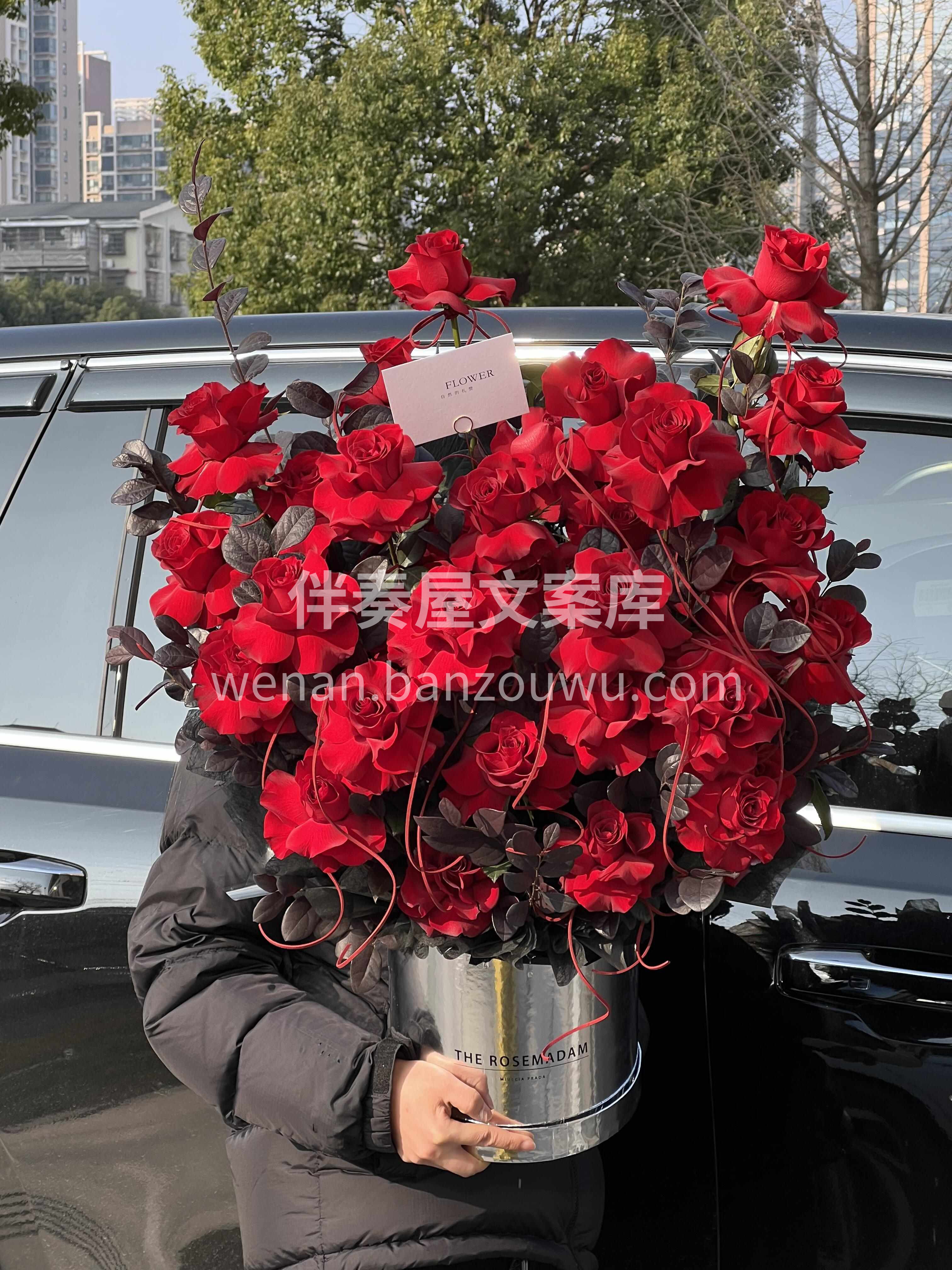 🌹红玫瑰从来不是俗气 是明目张胆的偏爱 是一眼就看到的真心❤ 配图3