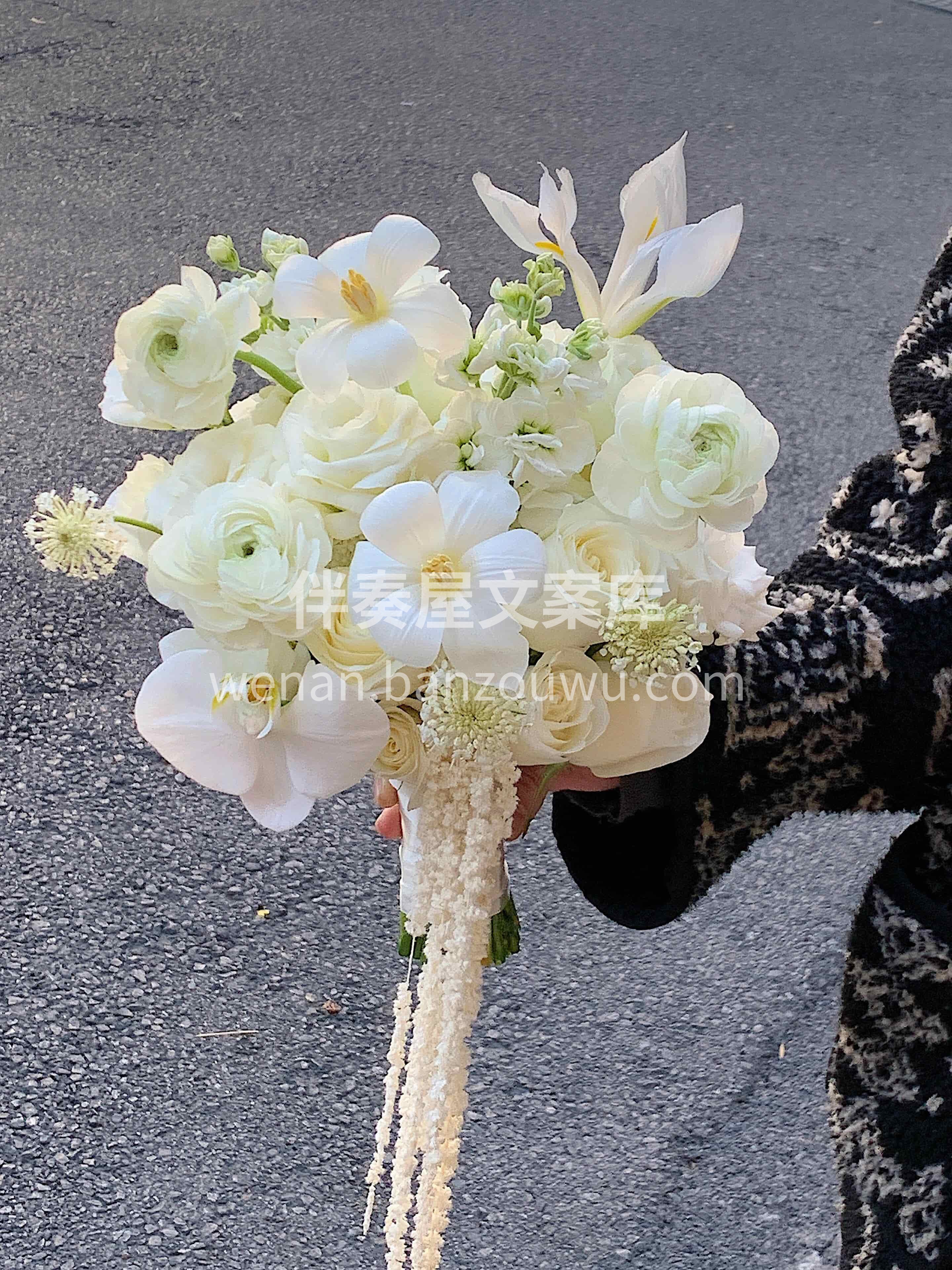 简约白色系手捧花🌸 像冬日的第一场雪❄️ 干净又治愈🫧浪漫至 配图2