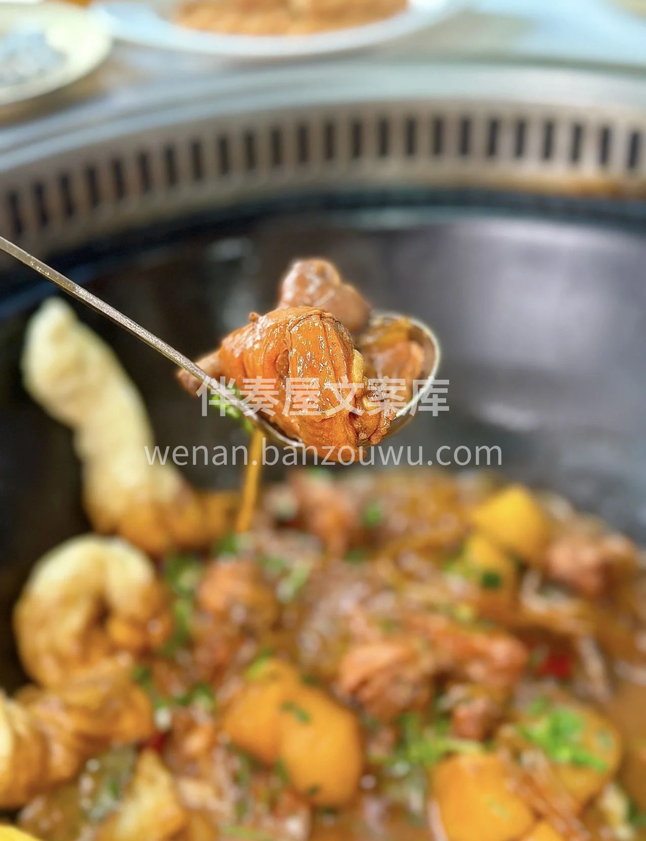 铁锅炖柴鸡，🐔柴鸡在铁锅中慢炖，肉质紧实 配图3