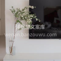 拥有一颗吊钟🌿就相当于拥有一片森林 真的是长在我的审美上了😘 配图6